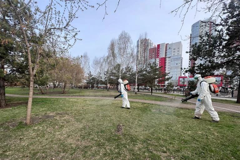 Завтра в Красноярске начнут обрабатывать от клещей парки, скверы и набережные. Первой будет обработана Центральная набережная, занимающая 274 тысячи квадратных метров. Затем – Ярыгинская набережная, парк 400-летия Красноярска и парк Покровский. Также дезинфекторы проведут работы в скверах Космонавтов и Юдинском, парках «Сибсталь» и «Солнечная поляна», а также на набережной им. Хазрета Совмена и в озеро-парке Октябрьский.
