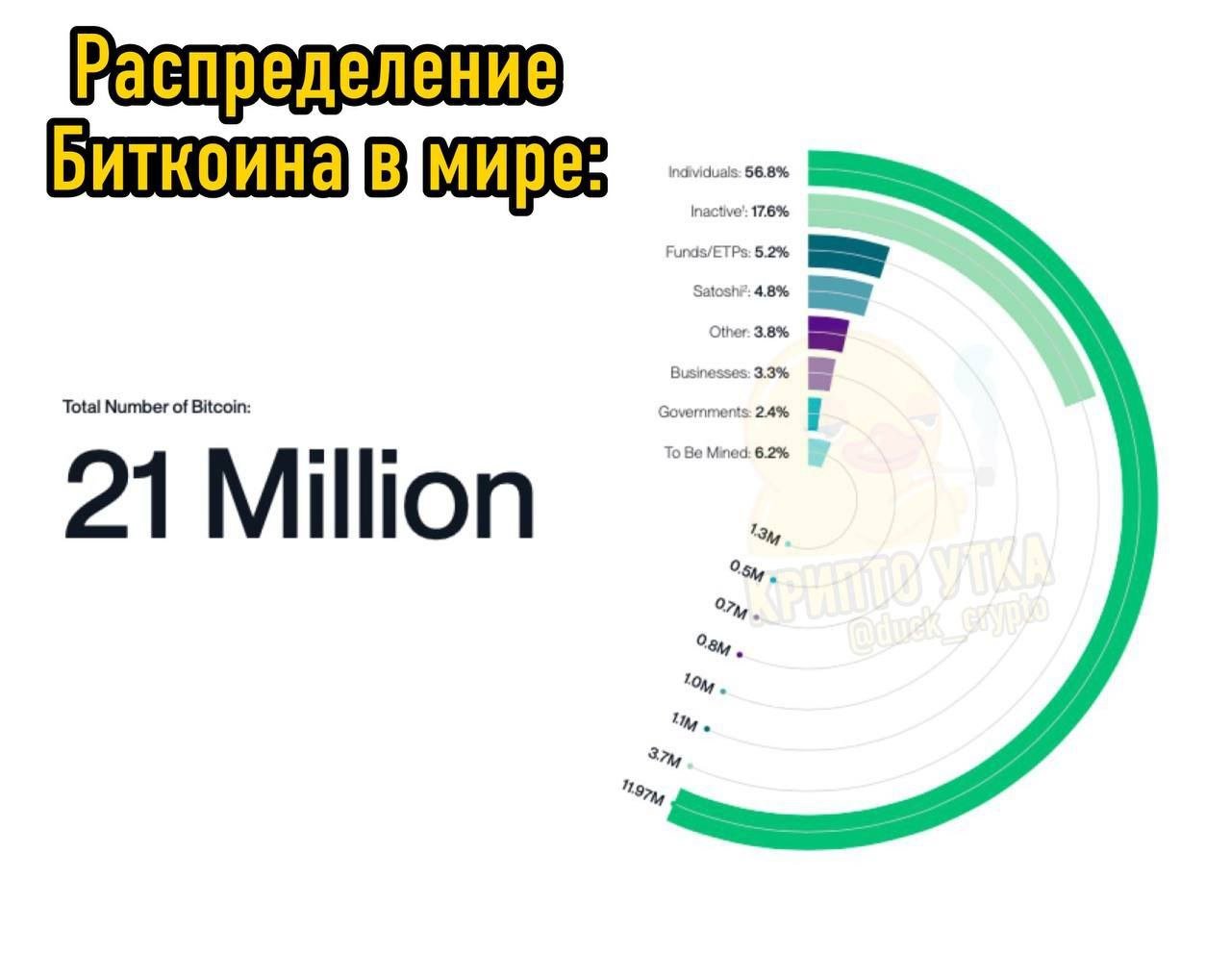 Текущее распределение биткоинов в мире:  56,8% — на кошельках частных холдеров 17,6% — утеряны безвозвратно 6.2% — предстоит намайнить 5.2% — в распоряжении фондов 4.8% — на кошельках Сатоши Накамото 3.3% — в распоряжении бизнеса 2.4% — в распоряжении правительств.