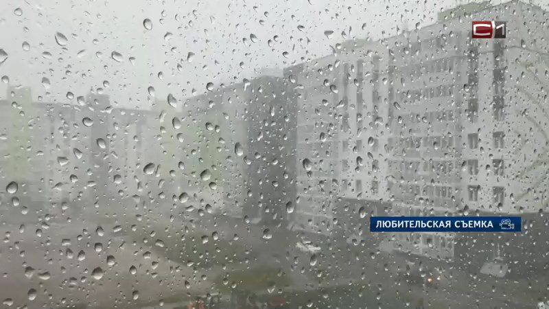 В администрации Сургута прокомментировали последствия вчерашнего ливня Сейчас специалисты проверяют работоспособность всех ливнеприемных решеток. В мэрии отмечают, необходимо как можно скорее очистить их от скопившегося мусора. Если же работы выполнены не будут в кратчайшие сроки, то вода так никуда и не уйдет с проезжей части. Важно понимать, что, как и любая инженерная система, ливневая канализация имеет определенные пределы пропускной способности. При аномально высоких объемах осадков, превышающих расчетные показатели, на отдельных участках городской территории возможно временное подтопление проезжей части, — объясняют в администрации Сургута. Подписаться Прислать новость