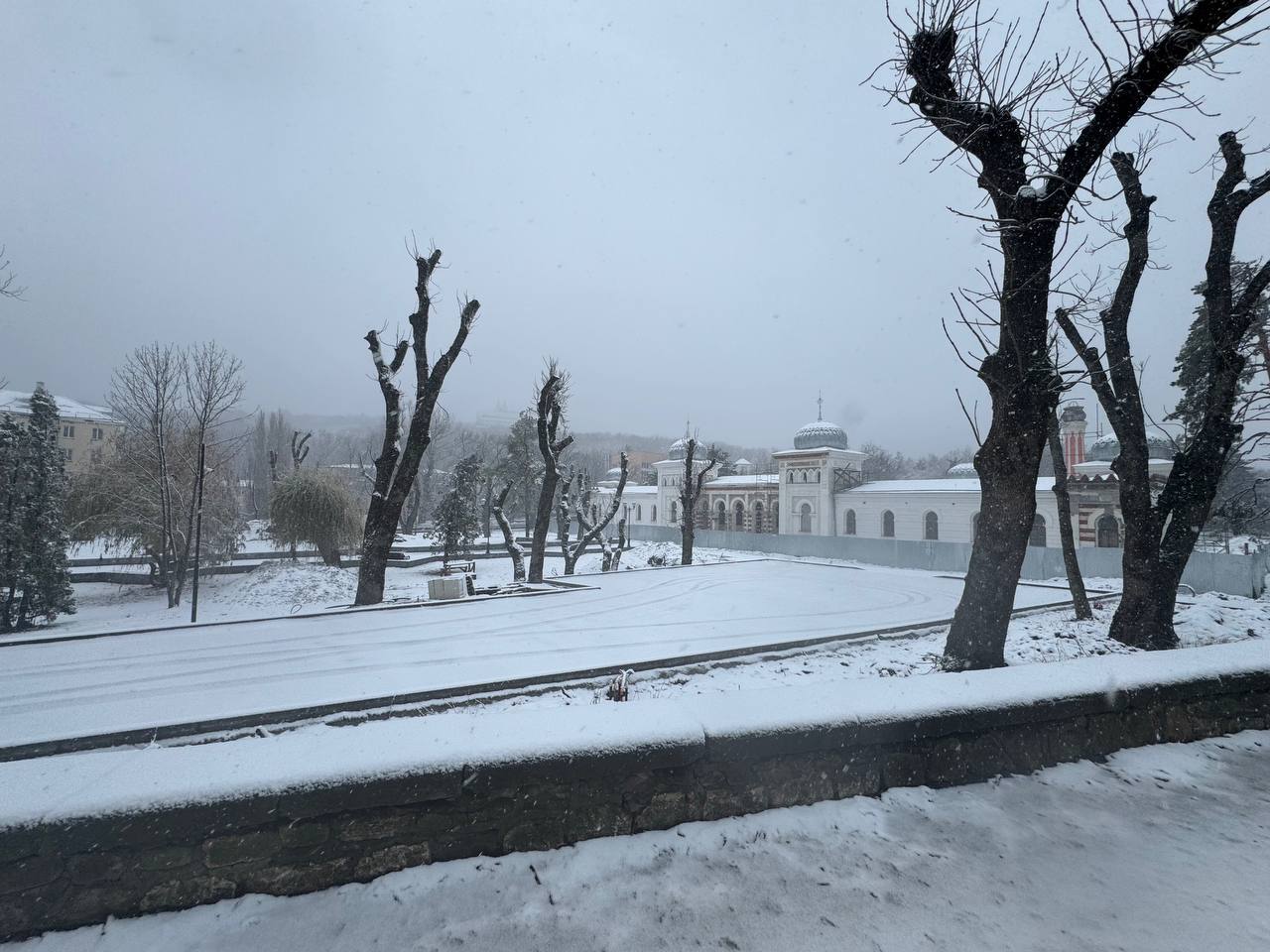 Десятки деревьев не выдержали снежного натиска на Ставрополье.   Несколько улиц Кисловодска, Пятигорска и станица Суворовская остались без света. То же самое в Кочубеевском округе. В Невинномысске деревья примяли восемь машин на Баумана и Менделеева.    Подписаться   прислать новость