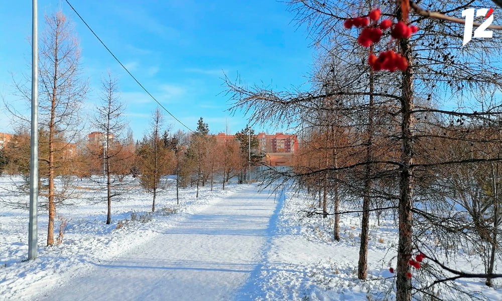 В Омске благоустроят три общественных пространства  В апреле в городе стартует комплексное благоустройство пляжа «Центральный-2», пешеходной аллеи на улицах Энергетиков — Химиков, а также сквера имени Борцов Революции. На эти цели выделено 224 млн рублей из бюджетов всех уровней в рамках нацпроекта «Инфраструктура для жизни».   Как сообщили в мэрии Омска, благоустройство сквера имеет особое значение в Год защитника Отечества. Он расположен на месте бывшего Генерал-губернаторского сада, в который также входит территория Городского Сада, благоустроенная по проекту «Формирование комфортной городской среды» в 2024 году.