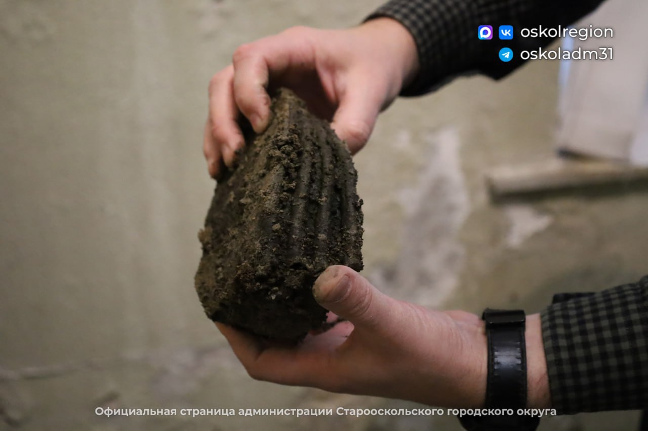 В Белгородской области обнаружили останки шерстистого носорога Это произошло во время рыбалки Пенсионер Геннадий Головин случайно заметил в земле необычные кости Вместе с сыном они осторожно достали несколько фрагментов и обратились в Старооскольский краеведческий музей На место обнаружения костей отправили специалистов Они нашли и извлекли из земли ребра части бедренных и тазовых костей коренные зубы и другие фрагменты скелета По предварительной оценке ученых кости принадлежали шерстистому носорогу вымершему виду млекопитающих который обитал в Европе и Азии около 14 18 тысяч лет назад Животное было покрыто густой шерстью и имело мощные коренные зубы защищённые толстым слоем эмали Все фрагменты скелета доставили в краеведческий музей где специалисты очистят законсервируют их и детально изучат Чтобы точно определить возраст и строение останков учреждение пригласит экспертов Газета о России о важном