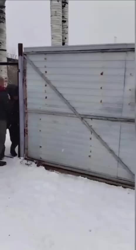 В Хабаровске зоозащитники пытались проникнуть в приют 'Добрый пес' из-за обвинений в плохих условиях содержания