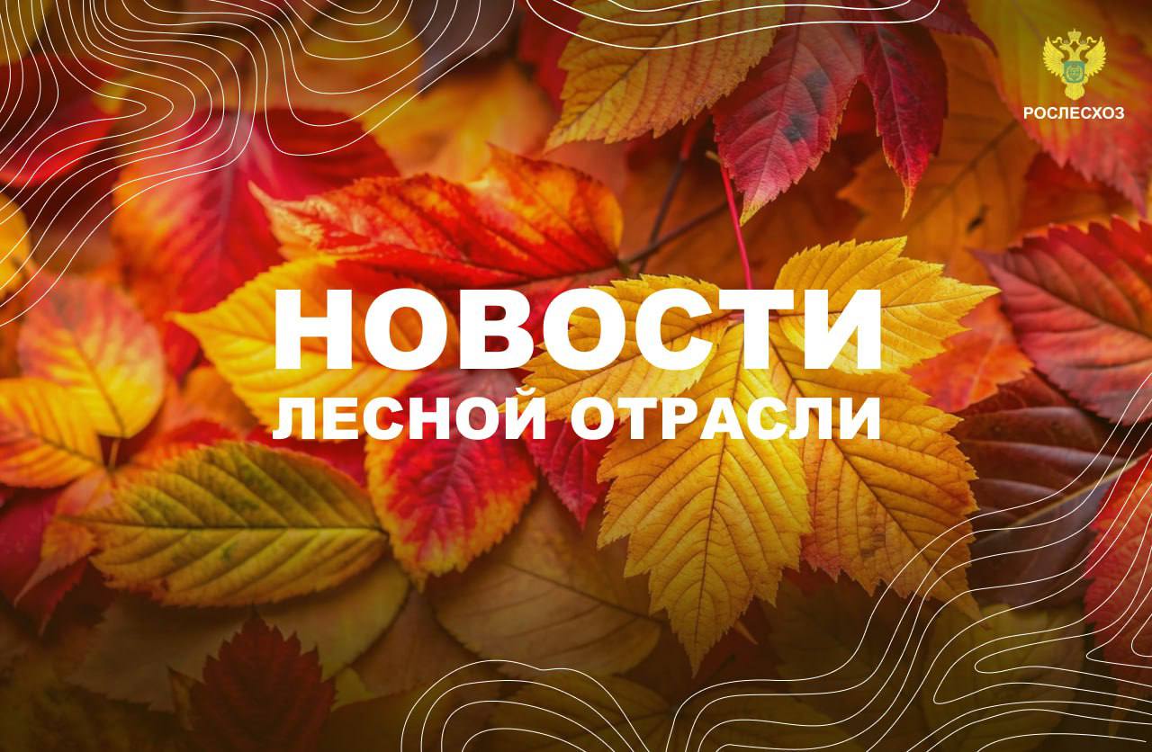 Интерфакс Пожароопасный сезон в Тюменской области прошел спокойно губернатор Чита медиа Почти 50 дронов с инфракрасным виденьем купили для тушения пожаров в Забайкалье Калужские новости Калужская область в числе лидеров по оперативному тушению лесных пожаров благодаря авиапатрулированию Московский комсомолец Кемеровская область продемонстрировала выдающиеся результаты в сфере лесовосстановления