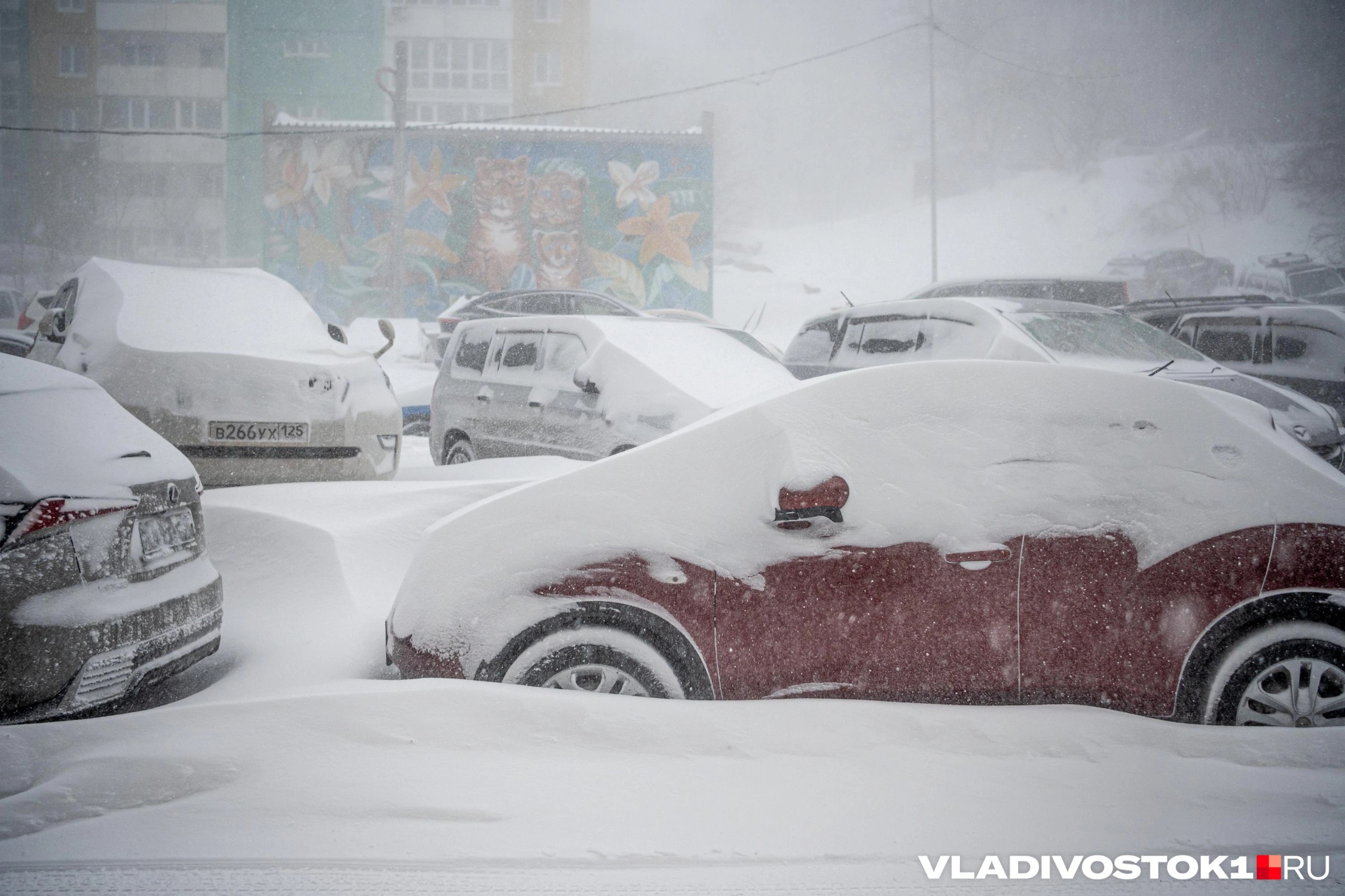 Начальник управления дорог администрации Владивостока Дмитрий Долгий заплатит штраф в размере 100 тысяч рублей за бездействие при уборке снега С таким иском в суд обратилась прокуратура сообщили в пресс службе ведомства Правоохранители посчитали что в январе 2026 года администрация не предприняла необходимых мер для очистки дорог от снега и уборки наледи что создало опасность для автомобилистов Прокурор края Сергей Столяров возбудил сразу пять административных дел в отношении Дмитрия Долгого по одному на каждый район города В итоге суд признал его виновным и назначил штраф Подписаться в Telegram Подписаться в MAX