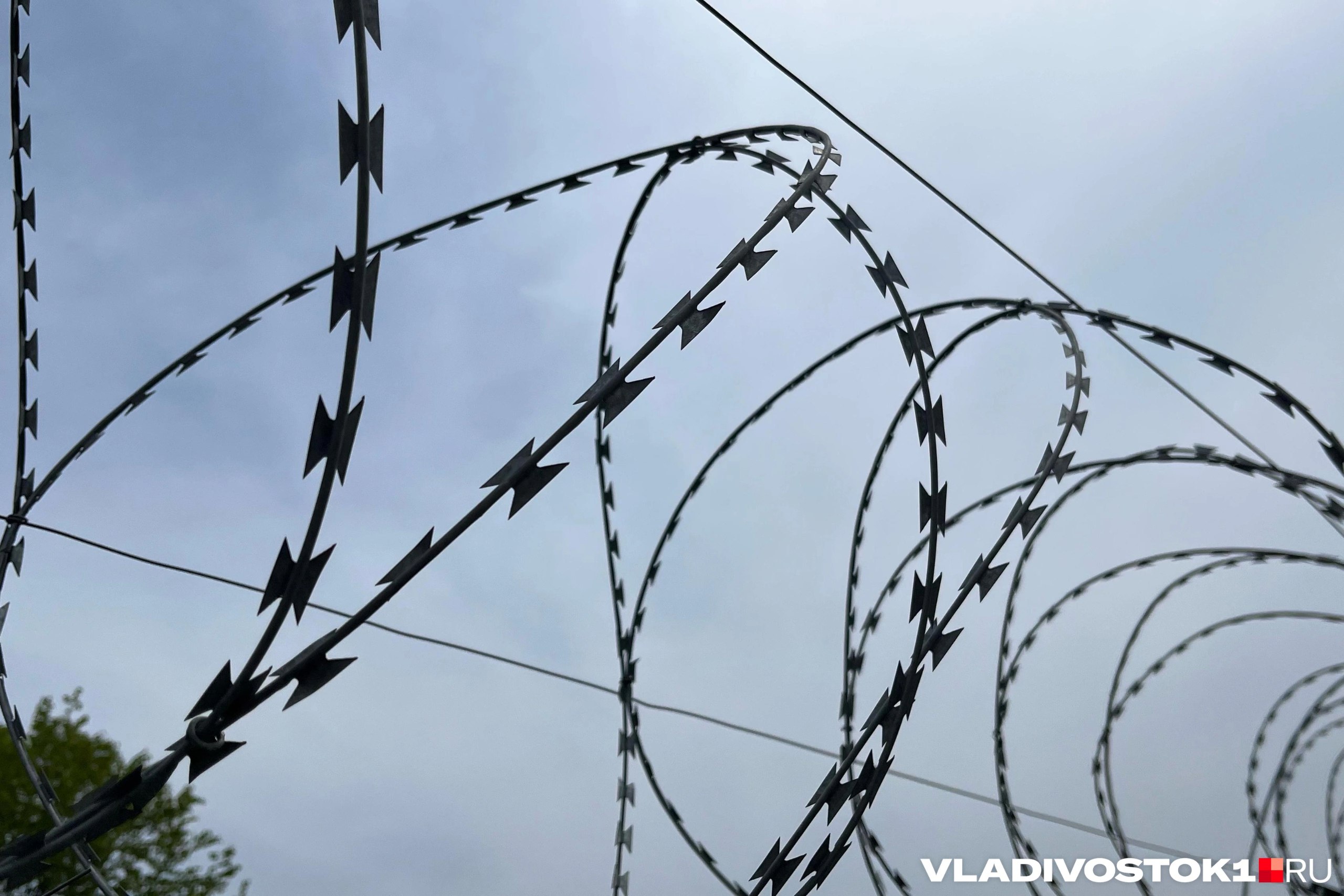 Онкобольного экс депутата Законодательного собрания Приморского края Артема Самсонова находящегося в СИЗО 1 Владивостока по делу о действиях сексуального характера в отношении несовершеннолетних хотят посадить в штрафной изолятор на 7 суток По словам его адвоката Натальи Касиловой поводом для этого стало использование нецензурной лексики во время разговора с женой В своем Telegram канале Касилова рассказала что мат прозвучал во время одного из разговоров Самсонова с его супругой по внутренней системе связи ЗонаТелеком но нецензурная лексика не была нарочито грубой и в подобных ситуациях руководство имеет право лишь принудительно завершить телефонный разговор заключенного Чтобы найти в разговоре нецензурное слово разговоры даже не надо прослушивать система сама отмечает разговоры если в них присутствуют определенные слова Однако же нецензурные слова не всегда являются бранными естественно и Артем в разговоре с женой не бранился просто у них между собой принято называть вещи своими именами Это их право использовать в личном разговоре любую лексику более того правила внутреннего распорядка исправительных учреждений прямо определяет наказание за нецензурную брань в разговоре с телефонным абонентом это прекращение телефонного разговора но никак не помещение в ШИЗО написала адвокат в своем Telegram канале По ее мнению причиной для такой жесткой меры наказания стало желание отомстить заключенному за то что ранее он выиграл суд и отсудил у ФСИН России 10 тысяч рублей за нарушение условий его содержания Неожиданное вынесение Артему Самсонову такого необоснованно строгого взыскания как 7 суток ШИЗО вероятно явилось следствием мести за то что он выиграл суд и отсудил у ФСИН России 10 000 руб за нарушение условий его содержания в СИЗО 1 города Владивостока Недавно о данном судебном решении стало известно в Москве 10 ноября 2025 года ФСИН России обжаловала это решение в Девятом кассационном суде и сразу после этого в ИК 27 из управления ГУФСИН по Приморскому краю было направлено требование проверить телефонные разговоры Самсонова утверждает Касилова Пока что Самсонов находится в обычной камере так как его отправку в ШИЗО отложили по состоянию здоровья но не исключено что позже руководство СИЗО в итоге переселит его в изолятор По этой причине адвокат уже сейчас намерена обжаловать решение Подписаться