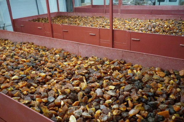 В Калининградской области добыли рекордное количество янтаря В 2025 году из недр Приморского карьера извлекли более 700 тонн камня Калининградский янтарный комбинат завершил сезон добычи на крупнейшем в мире месторождении самоцвета Всего в этом году из недр Приморского карьера извлечено 712 тонн янтаря Этот результат превысил прошлогодний рекорд на 85 тонн рассказали в пресс службе комбината Янтарь добывают открытым карьерным способом Камень залегает на глубине 40 50 метров под пустыми породами которые снимают с помощью экскаваторов В этом году к работам приступили 1 марта Изначально комбинат планировал добыть 600 тонн янтаря Фото пресс служба Янтарного комбината Подписаться на Калининград Ru