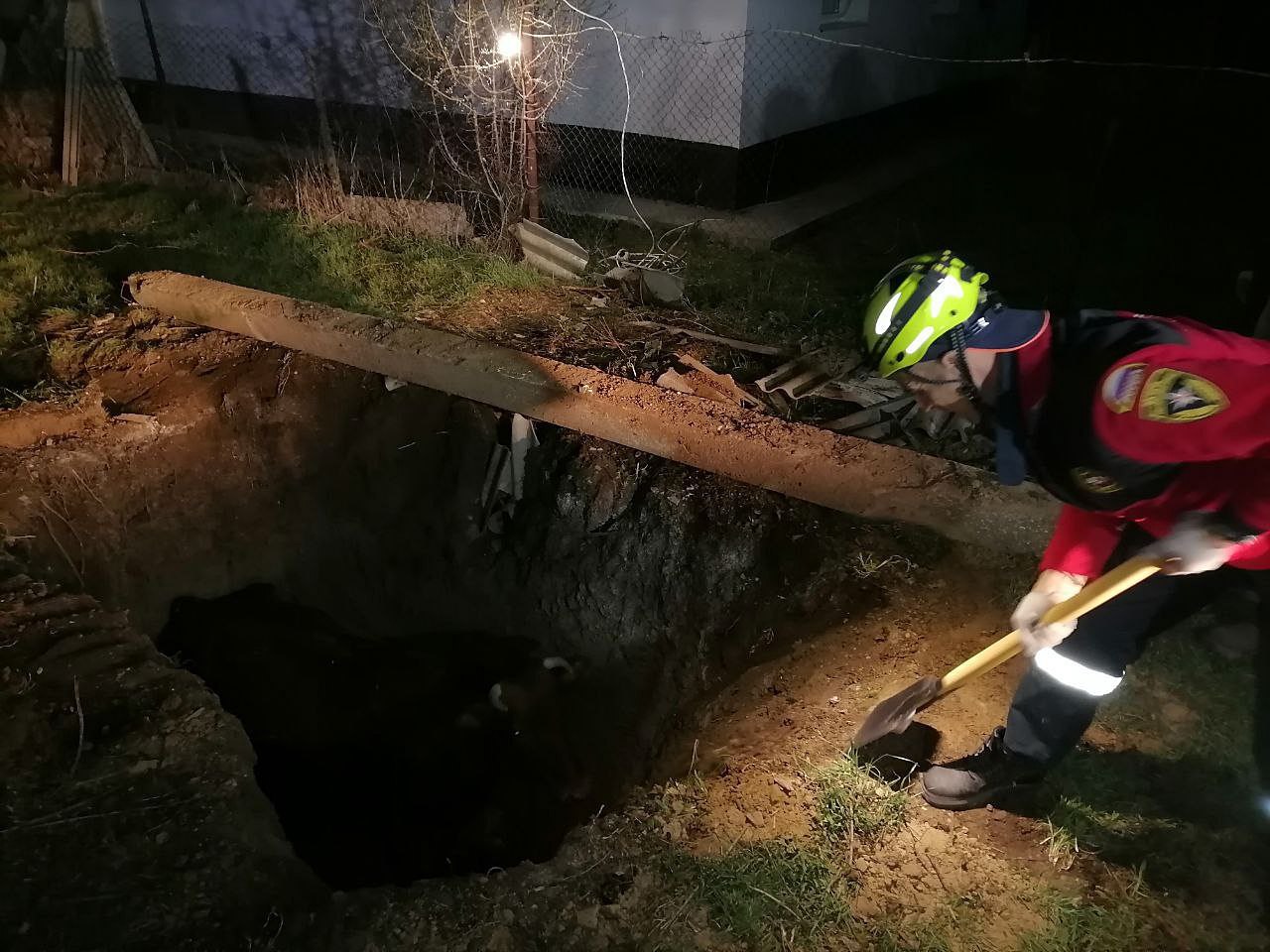 В Джанкойском районе спасатели подняли корову из 3-х метровой ямы   Сообщение о происшествии в селе Яснополянское поступило вечером. Прибывшие спасатели сделали склон более пологим, а затем с помощью такелажного оборудования и автомобильной лебедки извлекли животное из трехметровой ямы.    Фото/Видео: МЧС РК