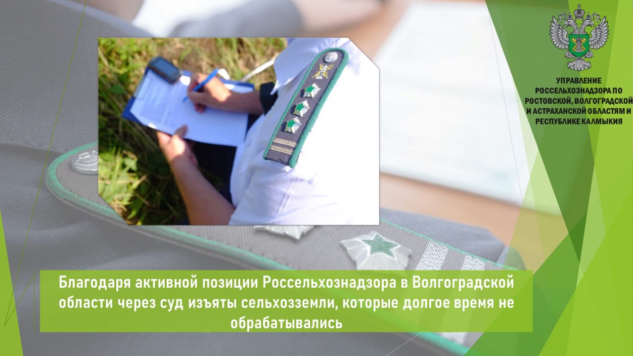 В июле в адрес Управления Россельхознадзора поступило решение суда, которым были удовлетворены требования об изъятии земельного участка общей площадью 10,8 га, расположенного в границах Волгоградской области, из земель сельскохозяйственного назначения и о его продаже с публичных торгов.    Ранее в 2024 году, на земельном участке сельскохозяйственного назначения площадью 10,8 га, расположенном в Камышинском районе выявлено зарастание. Собственнику земельного участка выдано предписание об устранении нарушений, которое он в установленный срок не исполнил.    По данному факту Управление направило материалы в отношении физического лица в комитет по управлению государственным имуществом области для инициирования процедуры изъятия земельного участка. Уполномоченный орган обратился в суд с иском к собственнику.  В июле суд принял решение об удовлетворении иска и постановил изъять земельный участок у собственника для продажи его с публичных торгов.    Открыть полный текст   #Земельный надзор #Сорняки