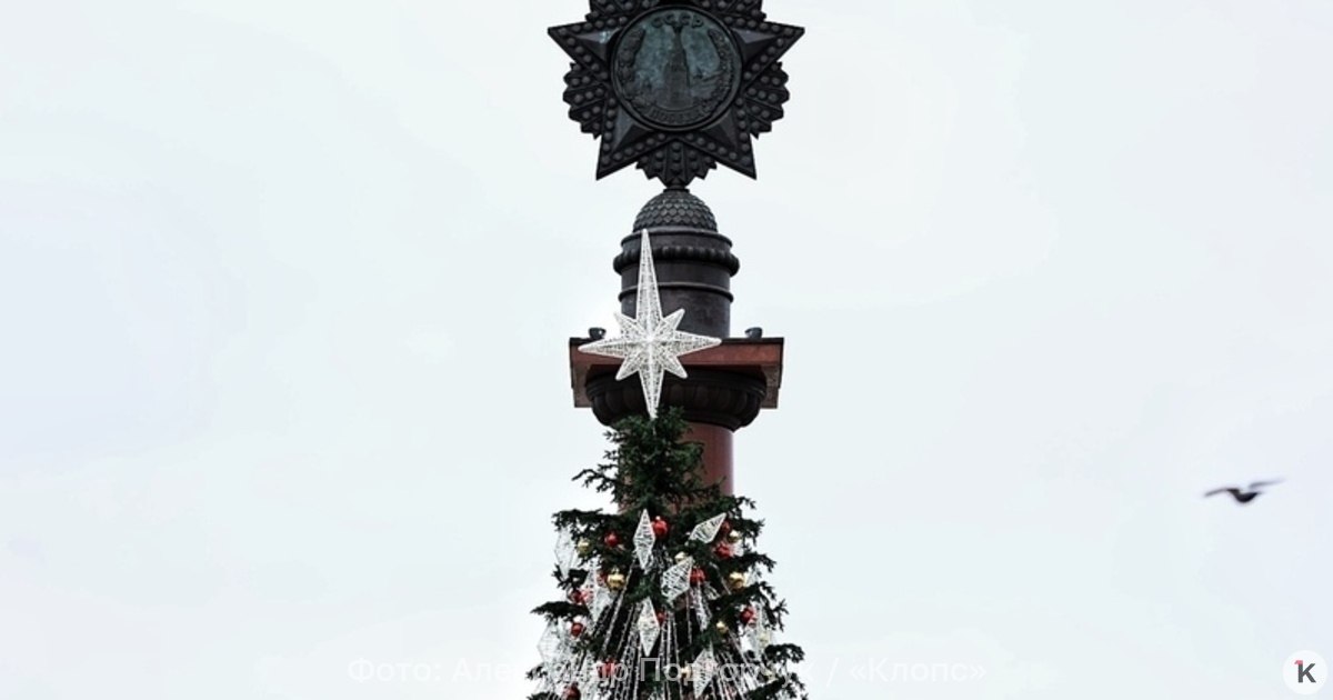 Прошедший над Калининградом шторм натворил бед в Литве и Финляндии Шторм Ханнес бушевавший всю ночь над балтийским регионом оставил без света 180 тыс домохозяйств без света в Финляндии 40 тыс в Швеции и 7 4 тыс домов Литве Финские СМИ уже назвали шторм самым разрушительным за последние 10 лет Представители электросетевой компании Elenia отметили что на ликвидацию последствий непогоды понадобится много времени до следующей недели прежде чем отключения электроэнергии будут устранены В Швеции с последствиями урагана также придётся провозиться несколько дней В стране два человека погибли под упавшими деревьями несколько автомобильных трасс закрыты для движения В Литве скорость ветра достигала 30 м с Спасатели более 30 раз за ночь выезжали чтобы убрать упавшие на дороги и линии электропередач деревья Утром было зарегистрировано ещё несколько десятков вызовов