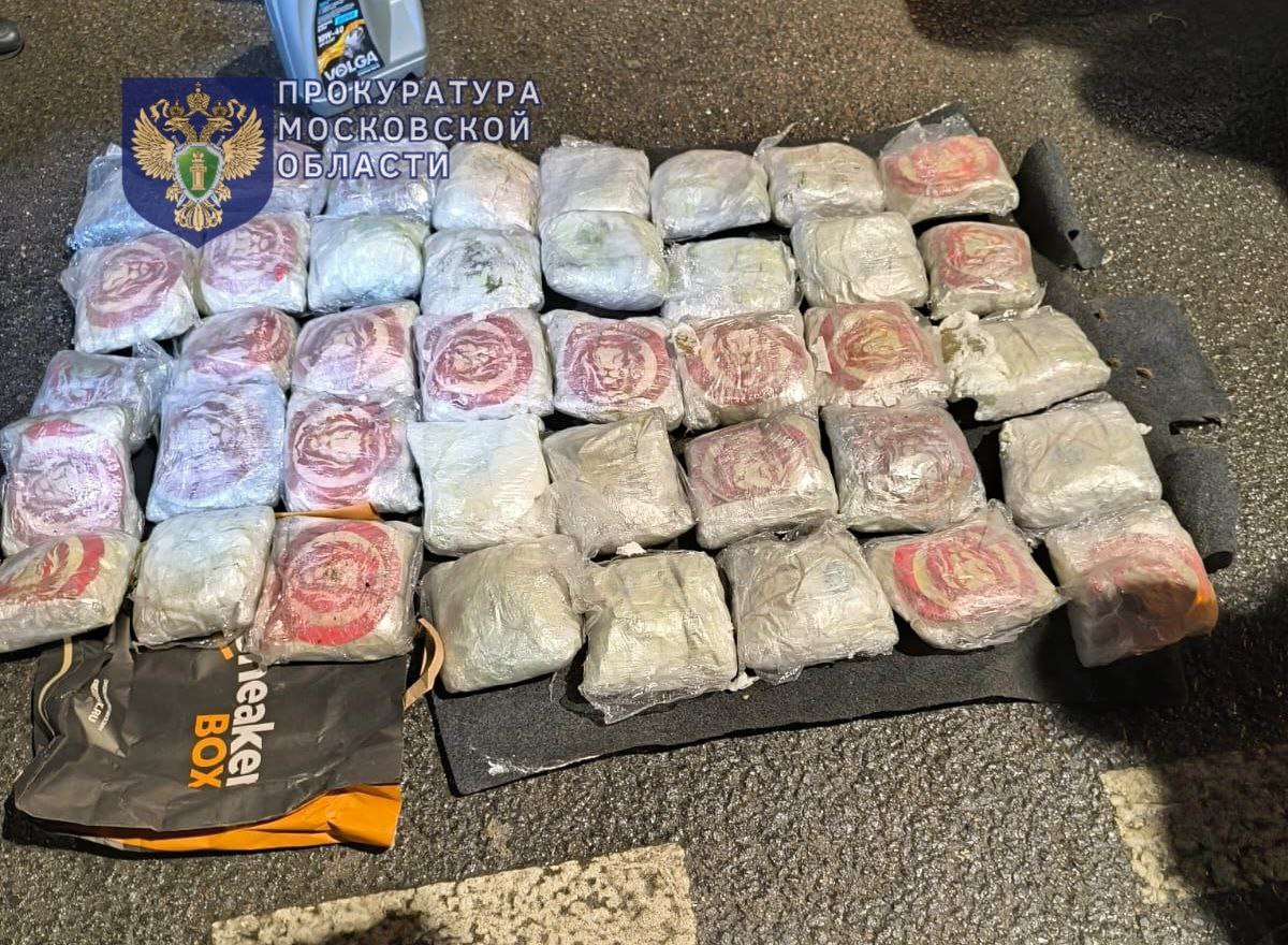Сорок кило героина это вам не фунт изюма Крупную партию изъяли на трассе Дон под Каширой Наркотик везли на продажу спрятав в нише для запасного колеса двое дилеров Спрятали плохо Фото прокуратуры Московской области