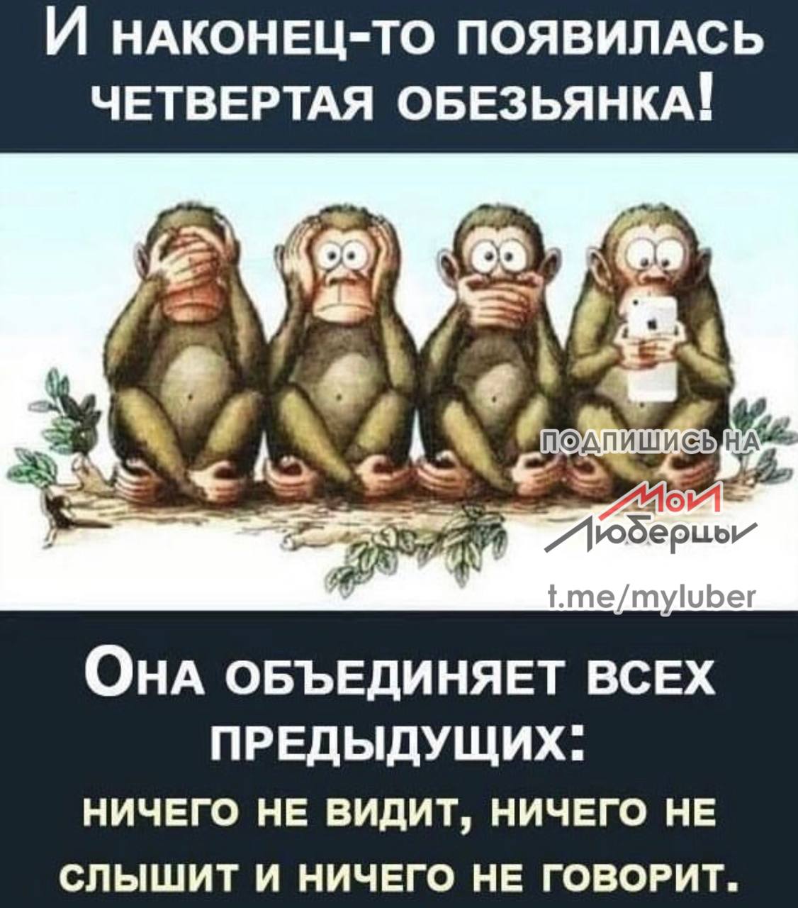 Чтение делает людей умнее, подтвердили учёные. Исследование мозга 1000 человек показало, что чтение положительно влияет на развитие. У любителей книг крупнее височная доля и извилина Гешля — области, отвечающие за грамотную речь и скорость восприятия. Те, кто не читает, чаще демонстрируют низкое когнитивное развитие. Учёные советуют читать хотя бы одну книгу в месяц.  Какую книгу прочитали недавно? Какую рекомендуете?         прислать новость -