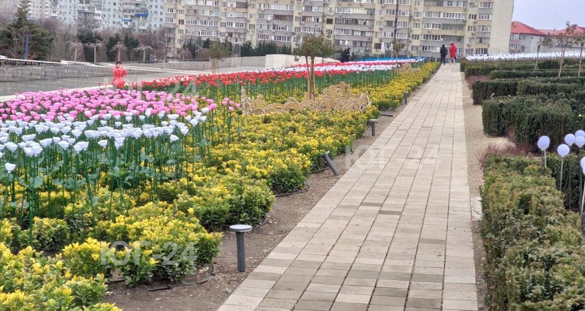 Варвары разгромили парк Галицкого на этих каникулах...  Парк Краснодар страдает от большого количества посетителей в новогодние праздники. Парк в буквальном смысле переполнен варварами. Люди не ценят красоту которую создают для них. Итог на фото.   -24