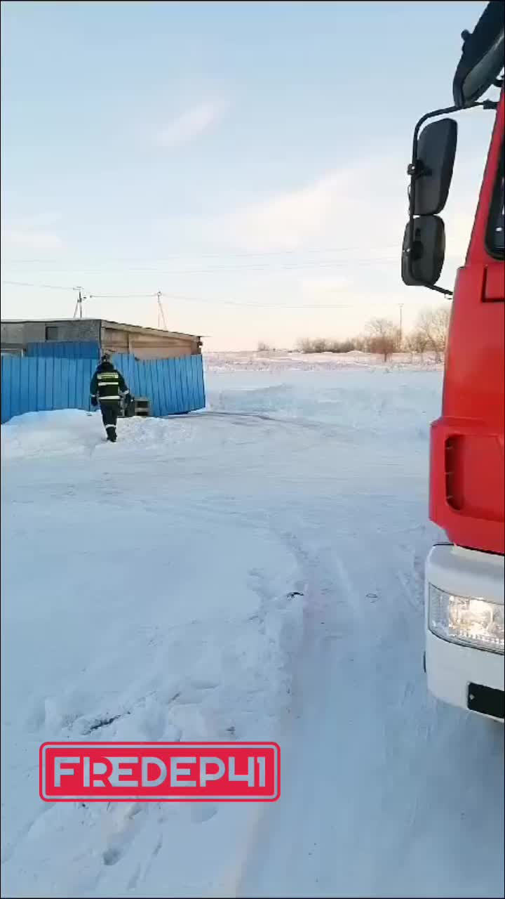 Спасение собак в Амурской области: жители и спасатели объединяются