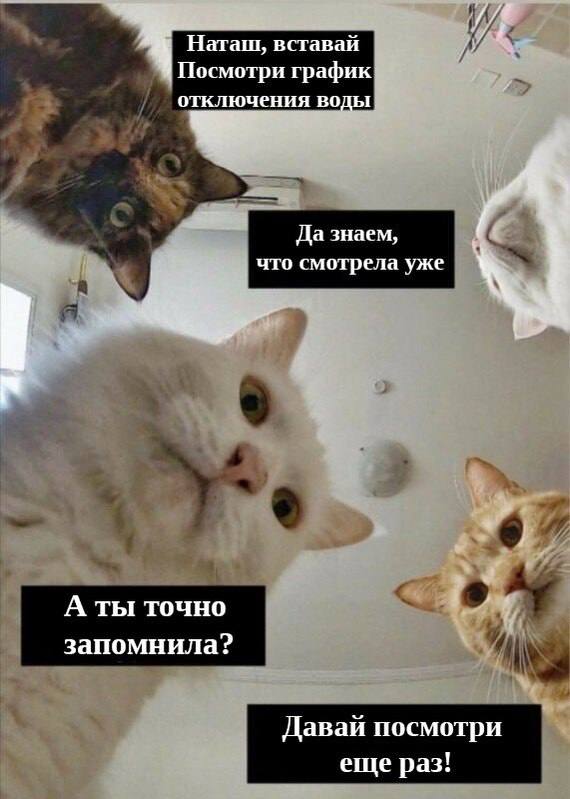 Вдогонку Холодную воду отключат сегодня в Чите Водоснабжение будет отсутствовать с 10:00 до 14:00 по адресам: - мкр. Северный, 31, 32, 33, 34, 48, 49, 57, 58, 59, 60, 61, 62, 63, 66-к1, 66-к2, 66-к3, 66-к4, 66-к5, 70, 71, 72, 73; - мкр. Каштакский, 1, 1а, 2, 3, 7; - мкр. Геофизический, 1-8, 11; - мкр. Гвардейской, 1-13; - Полковой проезд, 6а. Также воды не будет в детском саду №25 и школах №27, 55. Причина? Ремонтные работы на пожарном гидранте мкр. Северный