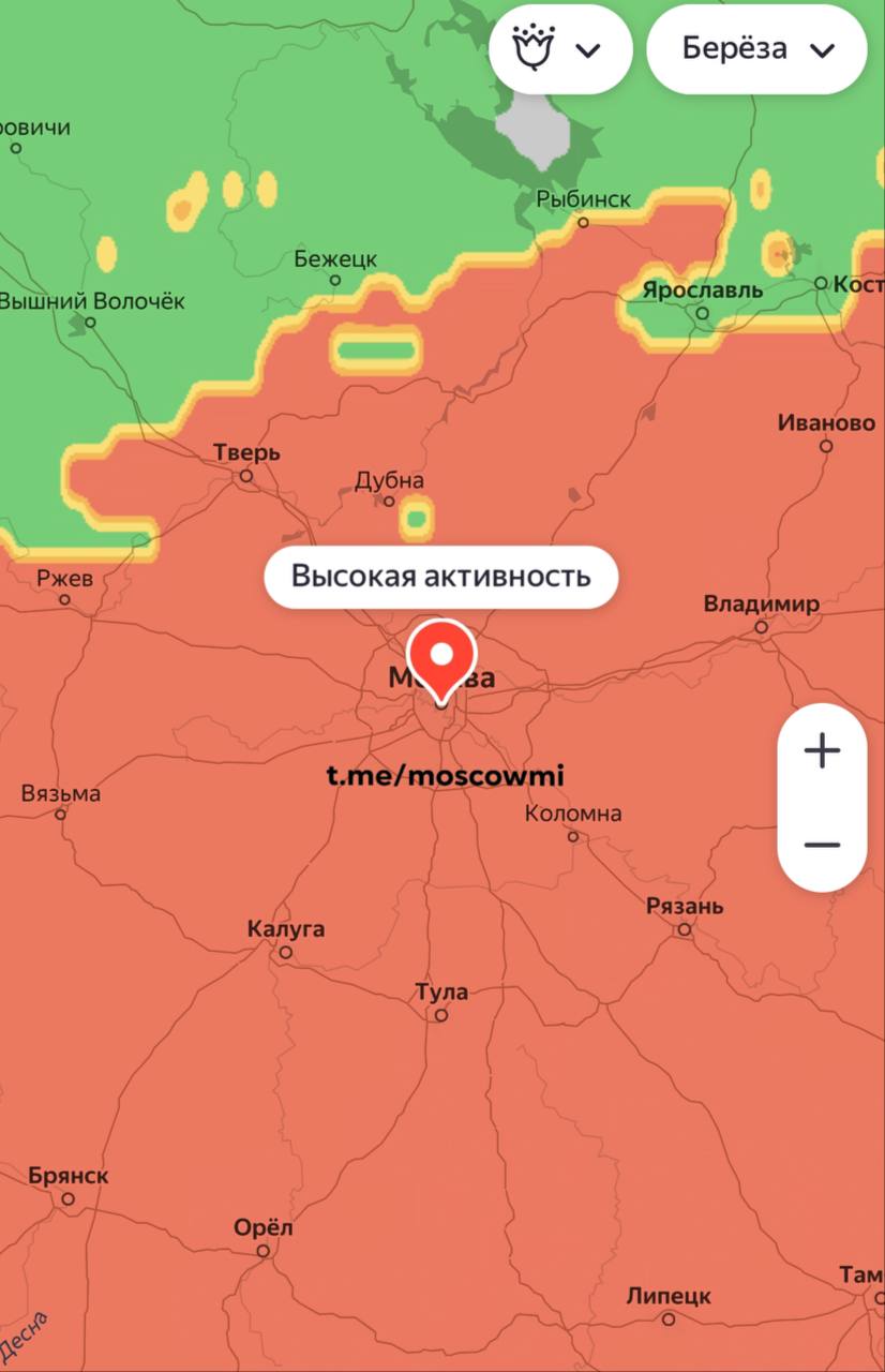 Москву накрыла высокая концентрация пыльцы берёзы. Аллергикам придётся терпеть как минимум до середины мая.