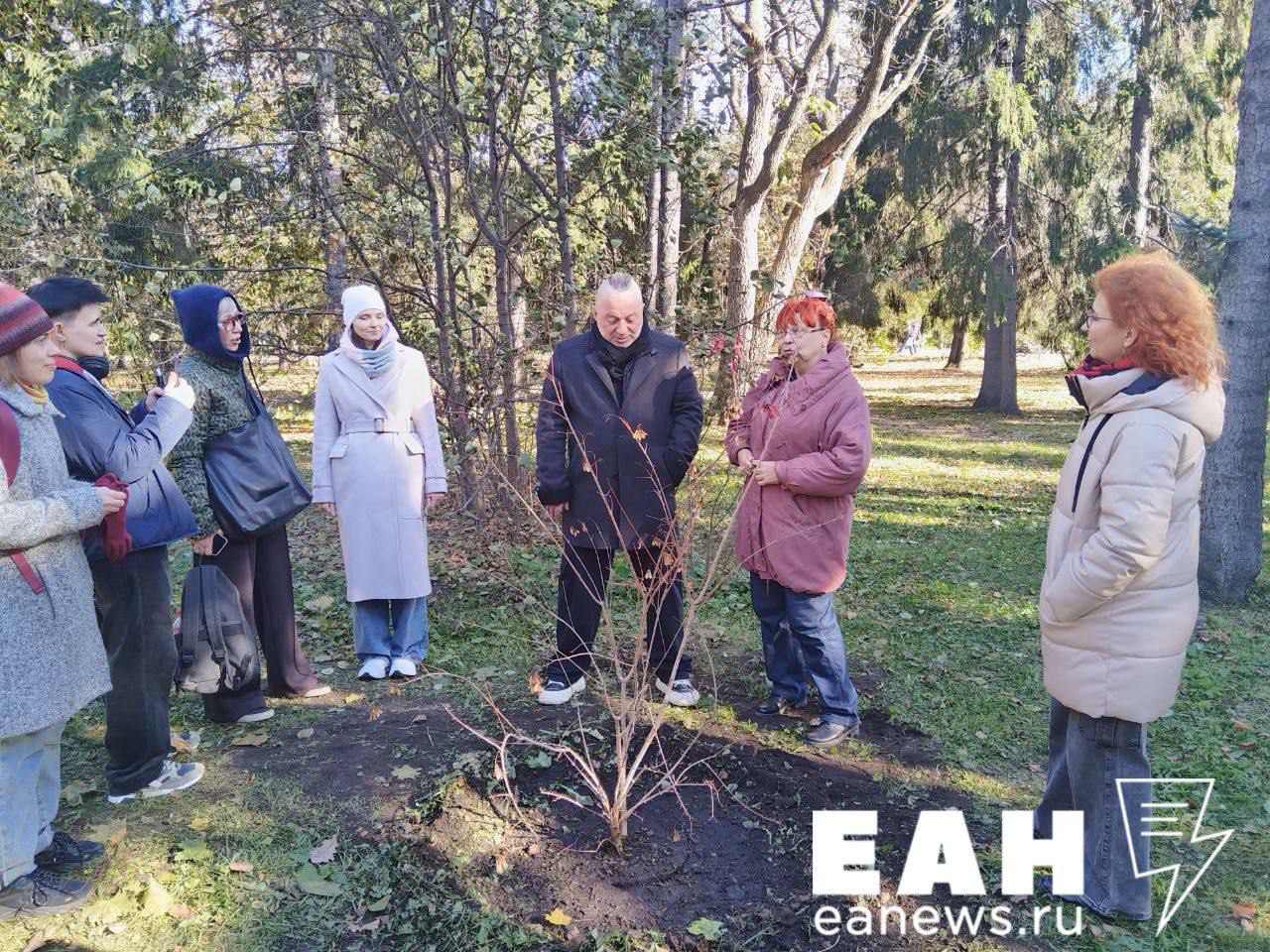 Необычный подарок сделали поклонники Агаты Кристи своему кумиру в день его рождения 3 октября в честь 61 го дня рождения Вадима Самойлова фан сообщество легендарной группы организовало посадку уникального дерева в екатеринбургском Дендропарке В парке появился клён приречный единственный представитель своего вида на территории дендрария Дерево достигающее в высоту 8 метров расположилось рядом с часовней где уже установлена именная табличка Теперь каждый кто будет прогуливаться по парку на улице 8 Марта сможет увидеть не только красивое дерево но и прикоснуться к музыкальной истории Екатеринбурга EanNews