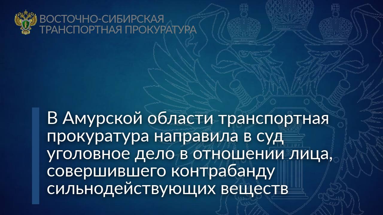 В Амурской области транспортная прокуратура направила в суд уголовное дело в отношении лица совершившего контрабанду сильнодействующих веществ Благовещенским транспортным прокурором утверждено обвинительное заключение по уголовному делу в отношении 44 летней местной жительницы Она обвиняется в совершении преступлений предусмотренных ч 1 1 ст 226 1 УК РФ контрабанда сильнодействующих веществ ч 3 ст 234 УК РФ незаконный оборот сильнодействующих веществ с целью сбыта По версии следствия в период с июня по октябрь 2024 года обвиняемая используя мессенджер оформила заказ и получила международным отправлением из КНР препарат для снижения давления содержащий сильнодействующее вещество клонидин с целью дальнейшей продажи Сильнодействующие вещества общей массой 712 грамм 2580 таблеток были изъяты сотрудниками таможенного органа Уголовное дело направлено в Благовещенский городской суд для рассмотрения по существу