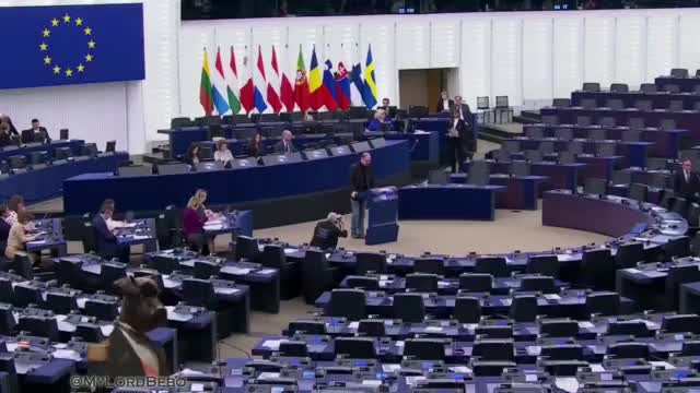 Депутат Европарламента критикует Каи Каллас, сравнивая ее интеллект с интеллектом хомяка