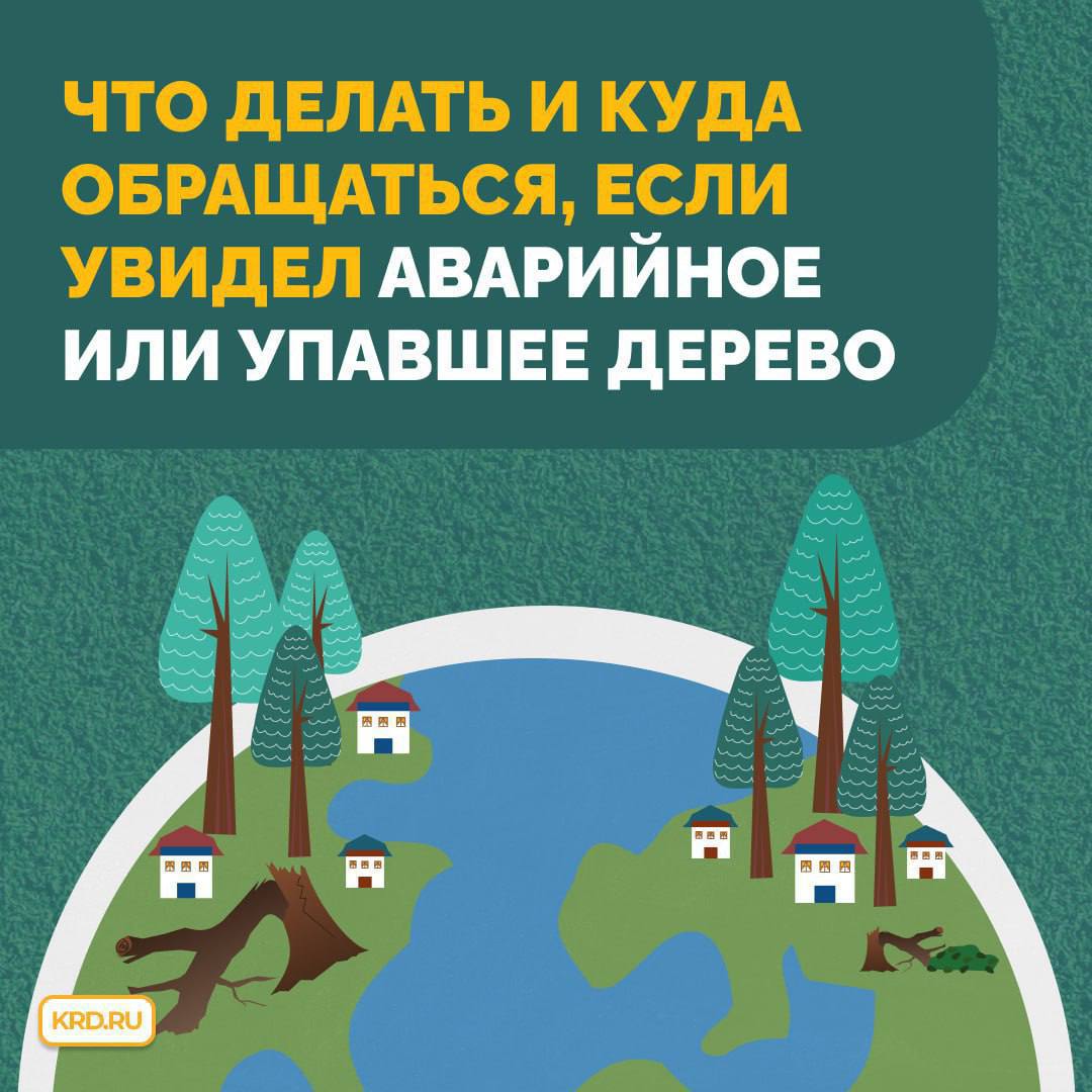 В Краснодаре усиливается ветер   Сегодня в городе солнечно, однако порывы ветра достигают 15 м/с. Это может привести к обрыву электрических проводов или падению деревьев.   Куда обратиться, если вы увидели аварийное или упавшее дерево, читайте в карточках.