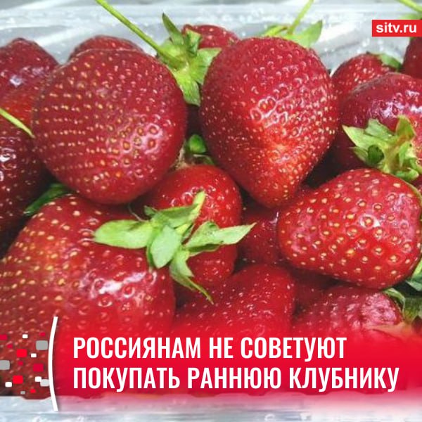 Ранняя клубника может содержать антибиотики, нитраты, пестициды и другие опасные вещества, рассказала доцент Института материнства и детства Пироговского Университета Ольга Тарасова в интервью Газете.ру. К сожалению, ни по вкусу, ни по внешнему виду разглядеть на прилавке подозрительную клубнику не получится. Но ранняя апрельская клубника с табличкой “Только с грядки” должна однозначно вызвать вопросы, - отметила врач. По ее словам, последствия от клубники с антибиотиками проявляются не сразу — эффект будет накопительным: нитраты приводят к кислородному голоданию, а от пестицидов можно отравиться. Она посоветовала покупать клубнику не раньше июня. Покупаете сейчас клубнику? / Подписаться Прислать новость