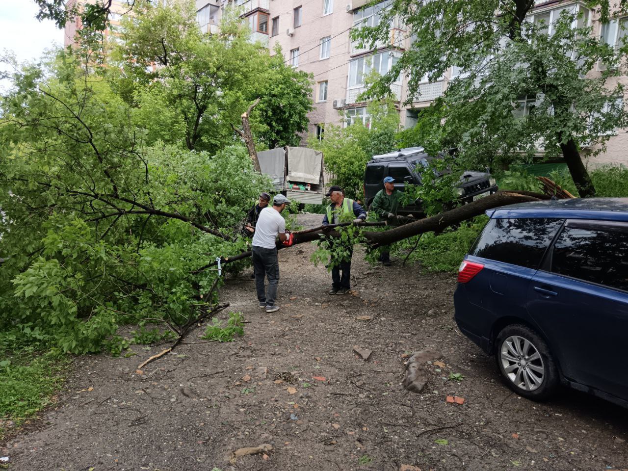 Сильный ветер с порывами до 30 метров в секунду повалил во Владивостоке, как минимум, 29 деревьев. Есть пострадавшие от этого автомобили. Вечером и всю ночь службы занимались уборкой упавших веток и деревьев. Эта работа продолжается сегодня. Всего насчитывается 30 с лишним адресов. Как сообщил глава Владивостока Константин Шестаков, в городе выпало 47 мм осадков. Ночью дорожники также убирали наносы грунта на Снеговой и Калинина. Трактора-щетки работали на Вилкова, Всеволода Сибирцева, Шилкинской и других улицах. Прочищали сети ливневой канализации и занимались отведением воды на Луговой, Снеговой, 5, стр. 3, Днепровской, 116, стр. 2, Верхнепортовой, 13в и по другим адресам. На данный момент дороги в проезжаем состоянии, подтоплений нет. По информации главы, серьезных разрушений и повреждений городской инфраструктуры не зафиксировано.