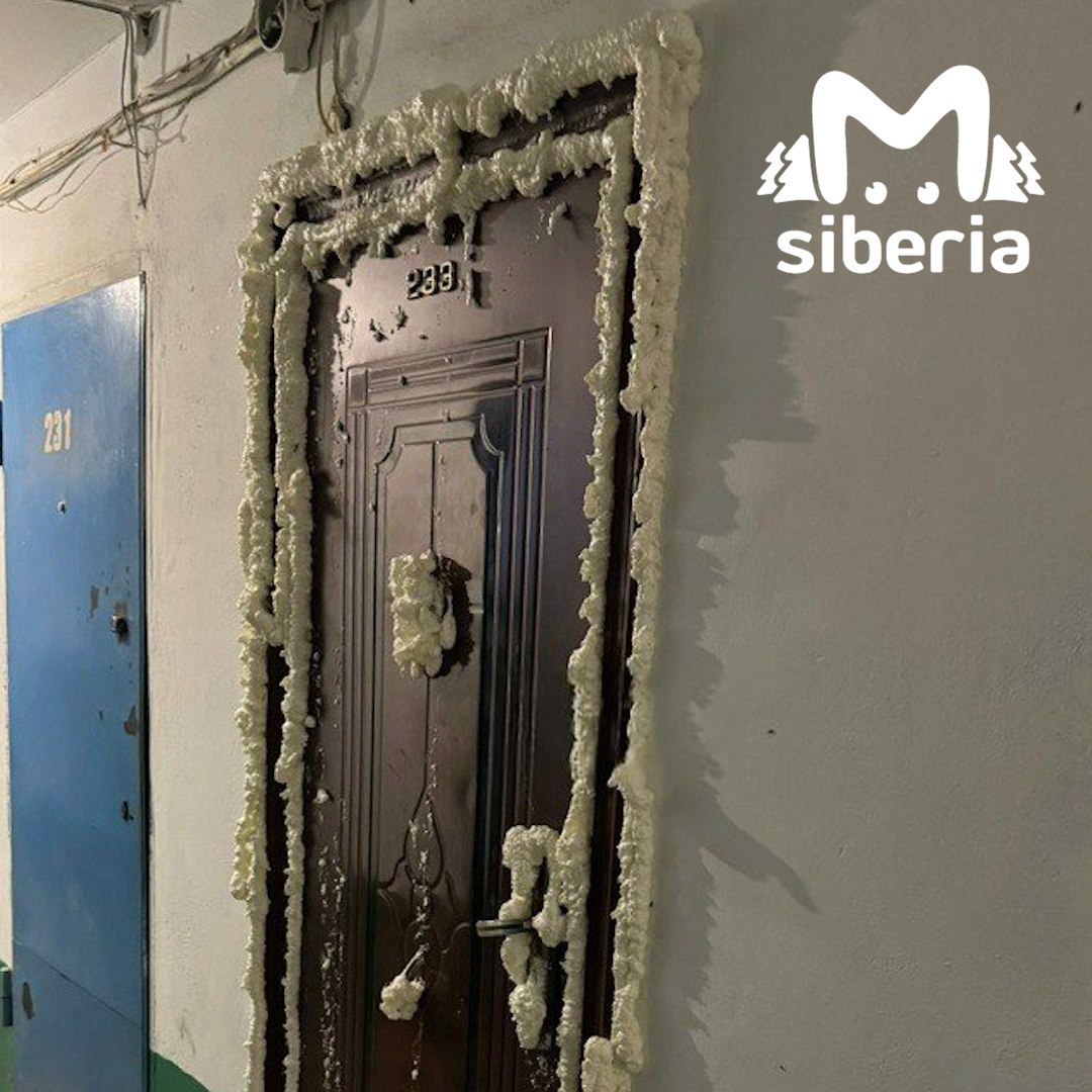Тараканов замуровали в Кемерове монтажной пеной Чтобы насекомые не разбегались из бесхозной квартиры жителям дома 18 по улице Космическая пришлось пойти на крайние меры Как пишут в соцсетях УК информацию о собственнике не даёт Написать Telegram MAX