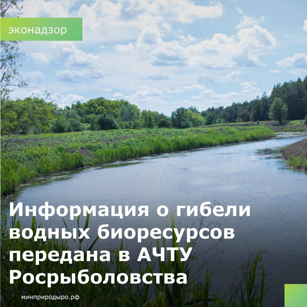 В региональных СМИ и соцсетях появились сообщения о гибели рыбы в городе Батайске Ростовской области. Сотрудники минприроды оперативно передали информацию в Азово-Черноморское территориальное управление Росрыболовства, которое занимается охраной водных биоресурсов. Вопрос остается под контролем министерства природных ресурсов и экологии области. Если у вас есть информация о нарушениях природоохранного законодательства, просим оперативно сообщать по телефону «горячей линии» минприроды области 863 283-20-38.