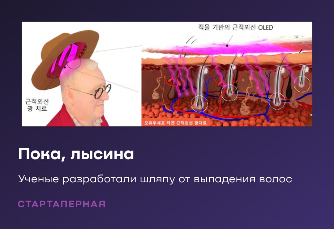 Корейские ученые изобрели OLED шляпу от облысения Устройство выглядит как шляпа на внутреннюю сторону которой прикреплены гибкие органические светодиоды испускающие ближний инфракрасный свет в диапазоне 730 740 нм Такой диапазон оптимален для воздействия на дермальные папиллярные клетки ключевые клетки у корней которые регулируют рост волос Исследования показали что старение клеток при таком методе замедляется на 92 Турецкие клиники напряглись Стартаперная