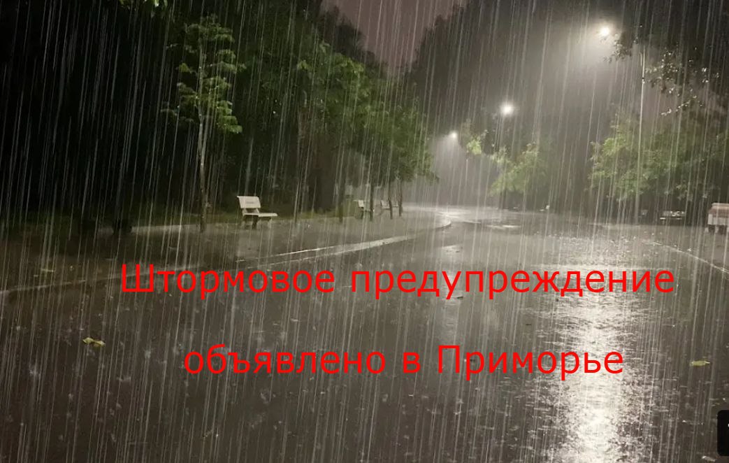 Внимание, штормовое предупреждение!   В связи влиянием активных фронтальных разделов ночью и днем 4 августа в Приморском крае и г. Владивостоке ожидаются сильные дожди  15-45мм за 12 часов , местами очень сильные  50 мм и более за 12 часов  и сильные ливни  30 мм и более за 1 час , грозы. При грозе ветер порывами до 15-20 м/с.   На реках края ожидаются подъемы уровня воды на 0,6-2,0 м, на малых реках южной половины до 3,0 м, с выходом рек из берегов, подтоплением пониженных территорий, отдельных хозяйственных объектов, участков дорог местного значения.