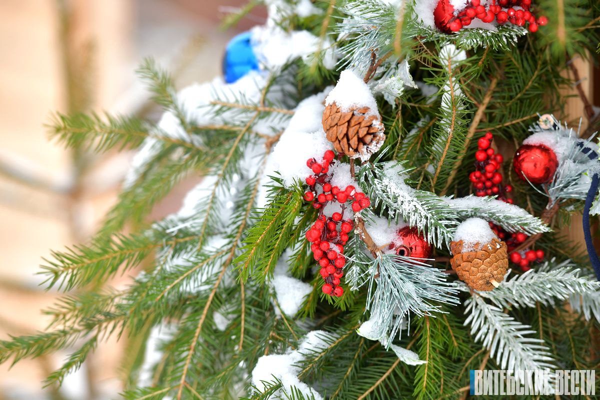 Лукашенко Рождество напоминает о том что жизнь является бесценным даром Президент Беларуси Александр Лукашенко поздравил христиан празднующих Рождество Христово 25 декабря В этот светлый и долгожданный праздник сердца верующих преисполнены особым трепетом и надеждой говорится в поздравлении Сокровенность Рождества приносит духовную радость объединяет в молитве и напоминает о том что жизнь является бесценным даром  Глава государства отметил что в этот день озаряющий свет Вифлеемской звезды наполняет дома истинной любовью милосердием и заботой о ближних Убежден христианские ценности будут и далее способствовать сохранению мира и согласия в обществе во благо родной Беларуси подчеркнул Президент Александр Лукашенко пожелал всем крепкого здоровья добра и счастья Сайт TikTok VK Instagram YouTube ОК Стикерпак ВВ Чат бот