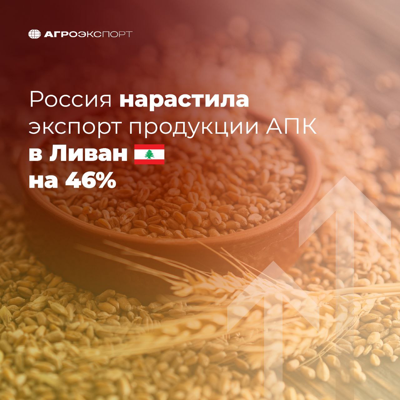 Россия нарастила экспорт продукции АПК в Ливан на 46% Согласно предварительным оценкам экспертов, Россия за 5 месяцев 2025 года поставила в Ливан около 220 тыс. тонн продукции АПК на более чем 62 млн долл. США. В сравнении с аналогичным периодом прошлого года экспорт вырос на 46% в натуральном выражении и 35% — в стоимостном. Драйвером поставок является пшеница: российский экспорт вырос на 76% в натуральном выражении, со 104 тыс. тонн до 183 тыс. тонн. Наблюдается высокая динамика роста экспорта российского ячменя в Ливан поставки возобновились впервые с 2023 года . За 5 месяцев 2025 года объем составил уже более 21 тыс. тонн, что в 2,2 раза больше, чем за весь 2023 год. Также Россия нарастила поставки: Воды без сахара в 2,5 раза, с 240 тонн до 600 тонн; Свекловичного жома на 25%, с около 2,3 тыс. тонн до 2,8 тыс. тонн; Живых овец в 1,5 раза, с около 1 тыс. тонн до 1,6 тыс. тонн. В топ-5 видов продукции АПК по объему экспорта из России в Ливан в натуральном выражении входят: Пшеница доля 83% Ячмень 10% Подсолнечное масло 5% Твердая пшеница 1% Свекловичный жом 1% #агроэкспорт #новостиАПК
