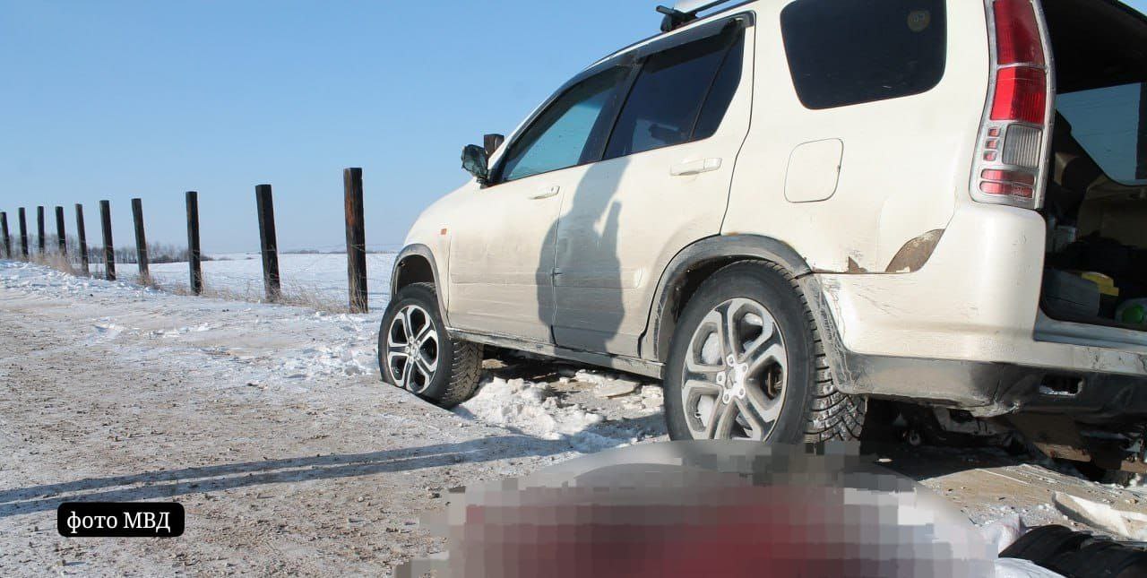 Охота закончилась судимостью В Эхирит-Булагатском районе осуждены трое жителей Иркутской области за незаконную охоту на сибирскую косулю. Как установил суд, в марте 2025 года мужнины от 29 до 42 лет выехали из Иркутска на машине в лес. Находясь в охотничьих угодьях в 58 километрах от деревни Комой, они без разрешений, с тепловизором и фароискателем выследили и застрелили косулю, ослепив её светом, затем разделали тушу и увезли. Ущерб животному миру — 40 тысяч рублей. Охотников задержали полицейские, ущерб они возместили. Суд приговорил каждого к 3 годам лишения свободы условно с испытательным сроком 1,5 года . Оружие, патроны и автомобиль отправлены в доход государства.