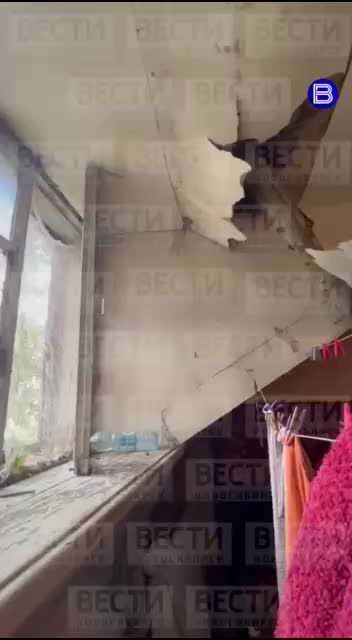 Ветка тополя пробила крышу дома в Новосибирске, но пострадавших нет