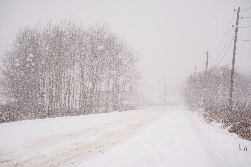Сахалин находится во власти циклона актуальная информация На юге острова Сахалин наблюдается снег с порывами ветра до 16 м с В центре и на севере острова температура доходит до 30 без осадков   На данный момент циклон находится в проливе Лаперуза и смещается на северо восток в течение дня будет двигаться по восточному побережью на север острова  В связи с погодными условиями действуют ограничения движения по автобусным маршрутам Проезд по всем дорогам области имеется В настоящее время на федеральных дорогах работают 48 единиц дорожной техники 12 дорожных рабочих на региональных 102 единицы дорожной техники 44 рабочих Паромная переправа работает в штатном режиме Возможны изменения Вся информация будет опубликована дополнительно   Несмотря на сложные погодные условия нарушения в работе объектов ТЭК и ЖКХ отсутствуют Подписывайтесь на нас в MAX sakhgov