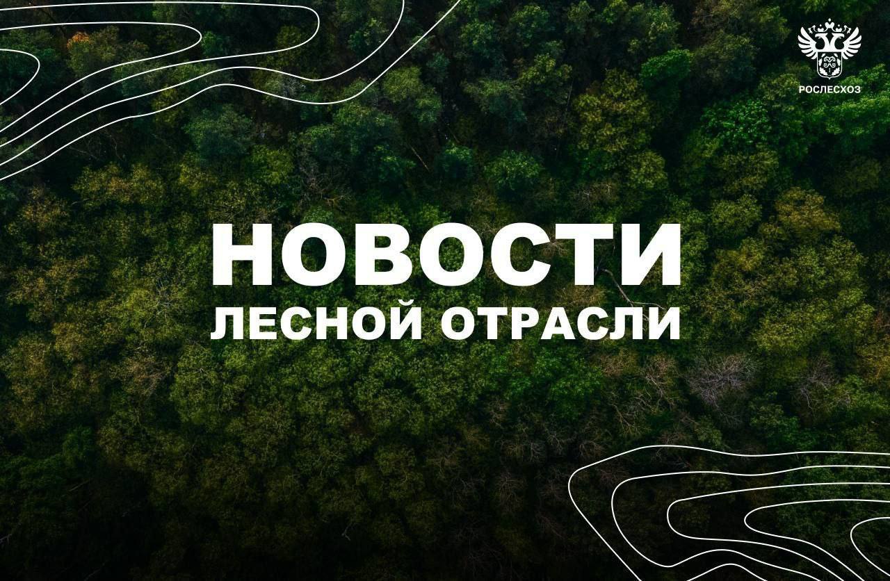 AK&M: Рослесхоз: за 9 месяцев 2024 года оказано свыше 854 тысяч лесных услуг в электронном виде    Московский комсомолец: В лесах Марий Эл снижен класс пожарной опасности    Коммерсантъ: Режим ЧС в лесах снят в Ростовской области    Хабаровский край сегодня: До конца года в Хабаровском крае вырастят 16 млн саженцев хвойных деревьев    ИА Хакассия: В Хакасии высадят 600 тысяч сеянцев хвойных деревьев