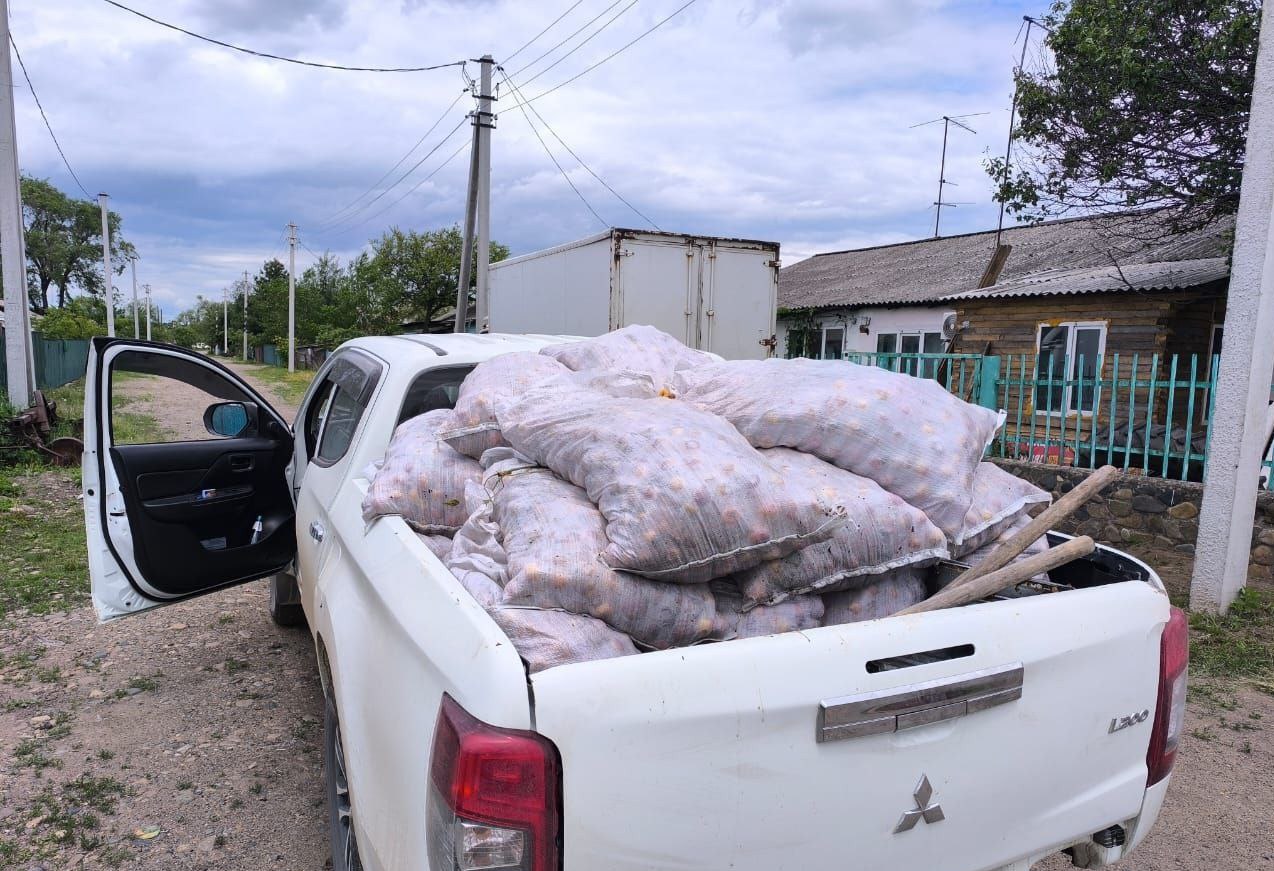 Спасенным медвежатам-сиротам из Якутии подарили машину яблок Житель Приморского края подарил несколько мешков яблок трем медвежатам, которых привезли из Якутии в Центр реабилитации тигров и других редких животных Центр «Тигр» . Малыши счастливы, даже есть возможность пока полежать на яблоках. Напоминает детишек, которые резвятся в бассейнах из шариков. Дети, они такие дети , — говорится в телеграм-канале центра. Трех бурых медвежат, оставшихся без мамы-медведицы, 14 мая обнаружили на свалке в поселке Чернышевский Мирнинского района. Им всего около 2-3 месяцев. На детенышей нападали собаки, спасаясь, они залезли на дерево. Местные жители отвезли медвежат из Мирного в Якутск, а затем авиакомпания «Якутия» доставила их в Приморье. Пару недель они будут находиться на карантине, а дальше их переведут в вольер к гималайским медвежатам