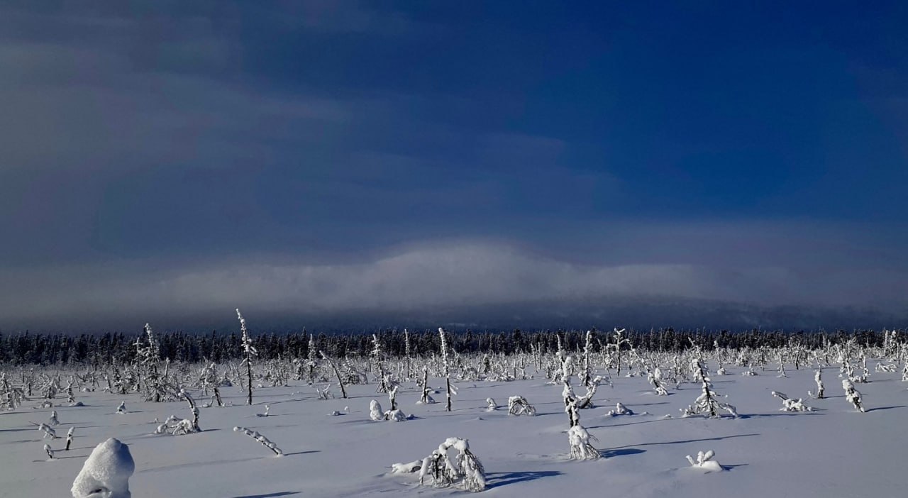 13 туристов на снегоходах потерялись в горах Прикамья Их ищут уже вторые сутки Группа из Екатеринбурга и Верхней Пышмы отправилась покорять 1119 метровую Ослянку еще 13 декабря но спустя несколько часов она перестала выходить на связь пишут местные СМИ Тургруппа не была зарегистрирована сообщили в МЧС Известно что в день инцидента у подножья главной вершины Среднего Урала была плохая видимость По одной из версий снегоходчики могли заблудиться Подпишитесь на Абзац TG VK Дзен MAX Rutube