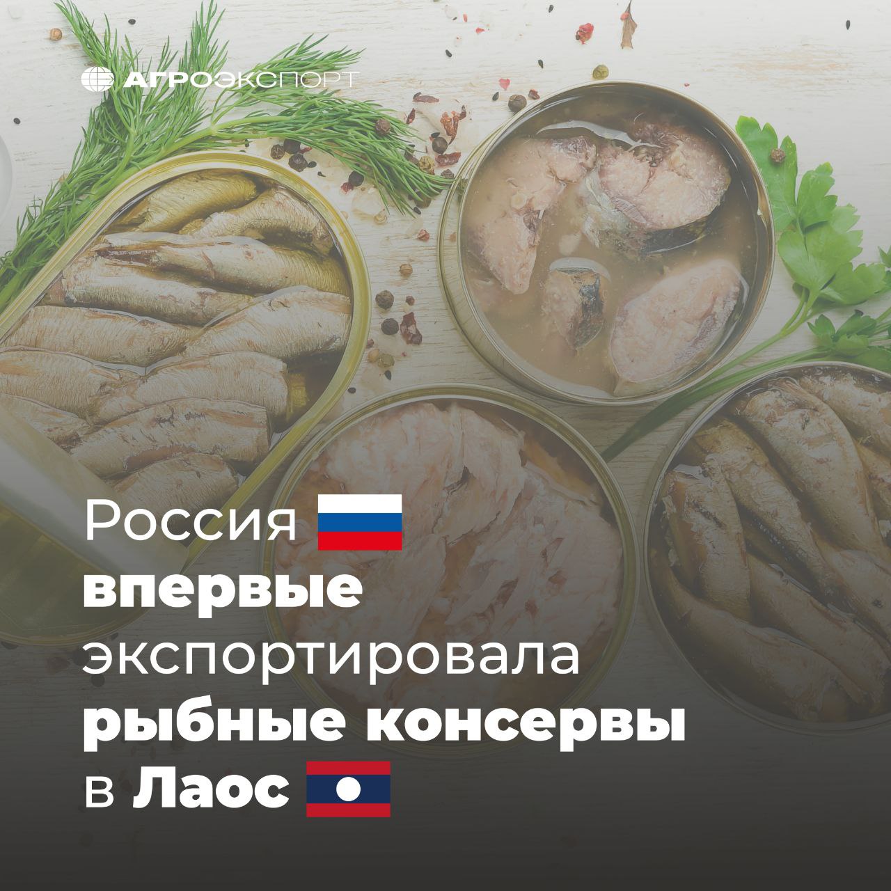 Россия впервые экспортировала рыбные консервы в Лаос Согласно оценкам экспертов, в 2025 году Россия экспортировала рыбные консервы в Лаос. Поставки сардин, кильки и шпрот составили более 180 тонн на сумму около 500 тыс. долл. США. Это первая в истории российская поставка рыбы в Лаос. Также в 2025 году Россия поставила в Лаос: Водку более 30 тонн Ликеры и прочие спиртные напитки более 5 тонн Детское питание более 13 тонн . Всего Россия за январь-апрель 2025 года экспортировала более 232 тонн продукции АПК в Лаос. Этот объем уже в 2,3 раза больше, чем за весь 2024 год около 100 тонн . #агроэкспорт #новостиАПК