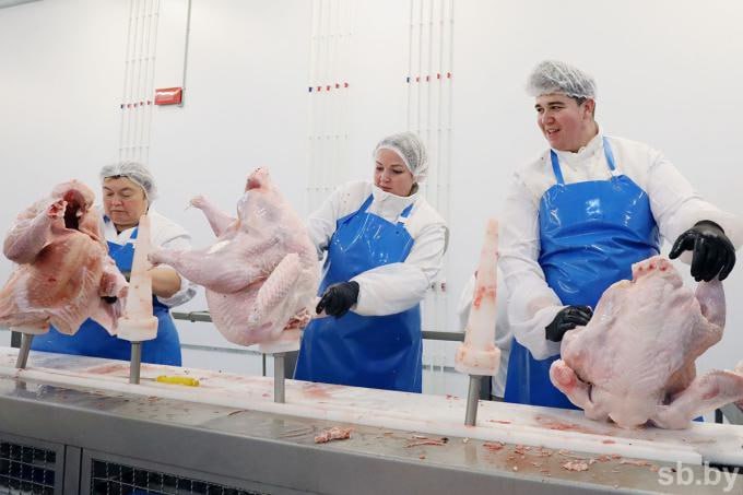 Китай выдал разрешение белорусам на поставки мяса индейки Теперь его станет еще меньше и оно будет еще дороже в Беларуси В министерстве полагают что получение доступа к китайскому рынку мяса индейки стратегически важный шаг для белорусских производителей С другой стороны в самой Беларуси всего три производителя этого мяса Белсалттрейд в Лиде фермерское хозяйство Островецкая индейка и копыльский участок Агрокомбината Дзержинский Их мощностей во первых для внутреннего рынка недостаточно приличные объемы приходится завозить из России А во вторых цены олигополистов на эту продукцию не делают ее очень популярной у широких слоев населения Учитывая что сейчас значительная часть мяса индейки пойдет на зарабатывание валюты перспектива мясо индейки в каждый дом откладывается на неопределенный срок