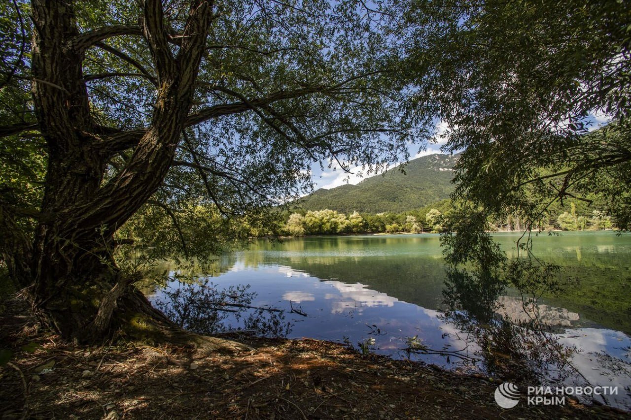 Запас воды в крымских водохранилищах естественного стока составляет 126 миллионов кубов.  В прошлом году эта цифра достигала 224 миллионов, рассказал в эфире радио "Спутник в Крыму" завкафедрой химических технологий водопользования КФУ имени Вернадского Илья Николенко.  "Судя по динамике, за февраль объем наполнения уменьшился на 2 миллиона", – сказал он.  Как рассказал директор научно-производственной фирмы "Водные технологии" Анатолий Копачевский, несмотря на то, что этот месяц был снежным, накопить достаточного объема воды не удалось.   Аянское водохранилище пополнилось на 422 тысячи кубов, Партизанское – на 391 тысячу, Симферопольское – на 1,26 миллиона. Это мало по сравнению с показатели прошлых лет.  "Это подтверждает прогнозы о том, что в предполагаемые ближайшие годы мы входим в засушливый период. Соответственно, надо готовиться", – добавил эксперт.  ⏭⏮⏩⏪