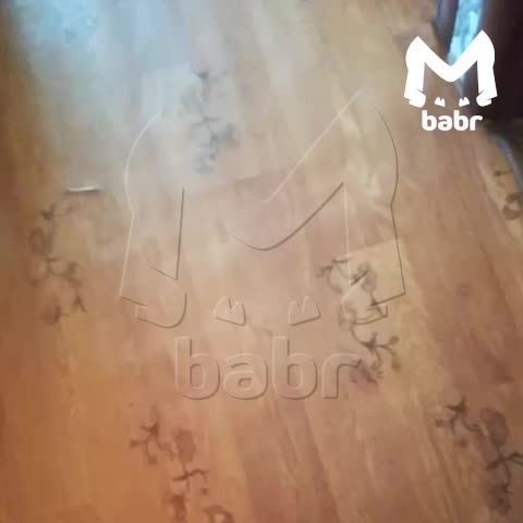 В Краснокаменске начальник приковал работника к батарее за прогулы, начата проверка
