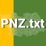 Аватар Телеграм канала: PNZ.txt