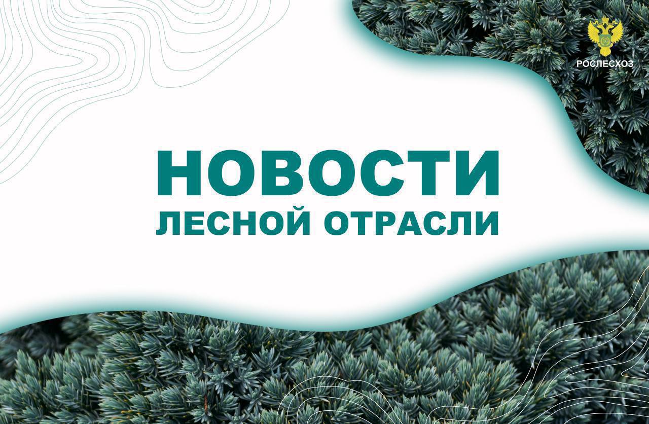 Дума ТВ: Гордеев: Госдума совместно с Рослесхозом продолжает работу над улучшением законодательства в области лесного хозяйства    Интерфакс: Финансирование лесного хозяйства ДФО из бюджета РФ в 2025г увеличено на 21% - Рослесхоз    Аргументы и факты Камчатка: Бригады лесных пожарных появятся еще в трех населенных пунктах Камчатки    Известия: Из искры: лесные пожары могут начаться в 30 регионах уже в марте    Forest ru: В лесах Омской области площадь очагов вредных организмов в течение 2024 года сократилась на 80%    ТАСС: В Хабаровском крае будут использовать беспилотники для борьбы с лесными пожарами