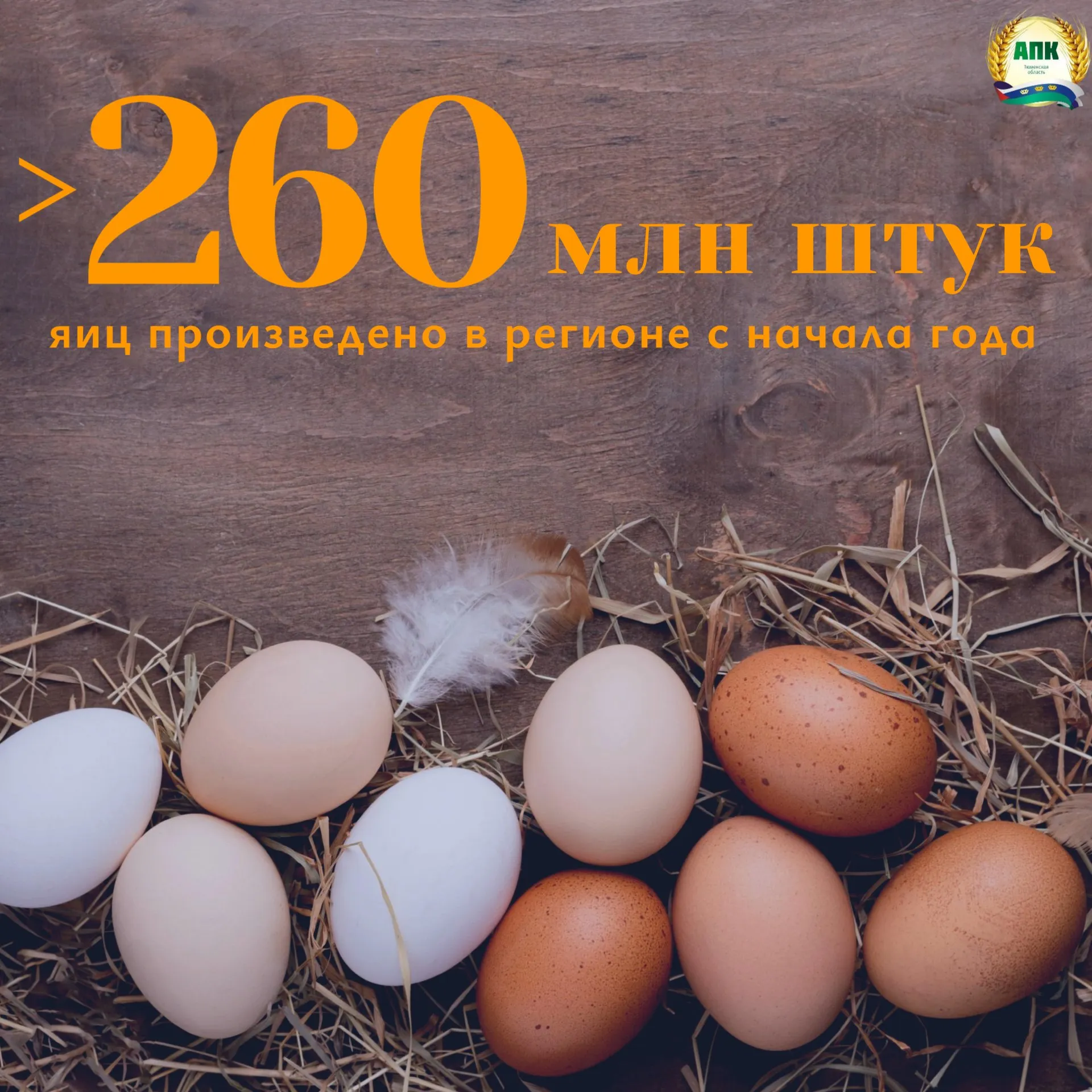 Более 260 миллионов яиц произведено в Тюменской области с начала года С приближением Пасхи спрос на яйца среди жителей вырастает в разы Только за три месяца 2026 года тюменские птицефабрики произвели более 260 миллионов штук яиц В регионе работают два птицеводческих предприятия яичного направления оба расположены в Тюменском муниципальном округе Их мощностей хватает чтобы покрыть весь праздничный ажиотаж Напоминаем что в эту субботу пройдёт предпасхальная продовольственная ярмарка где можно будет приобрести свежие яйца от тюменских производителей Мы в Max clck ru 3PphHz АПК