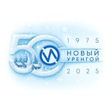 Аватар Телеграм канала: Импульс Севера | Новости Нового Уренгоя