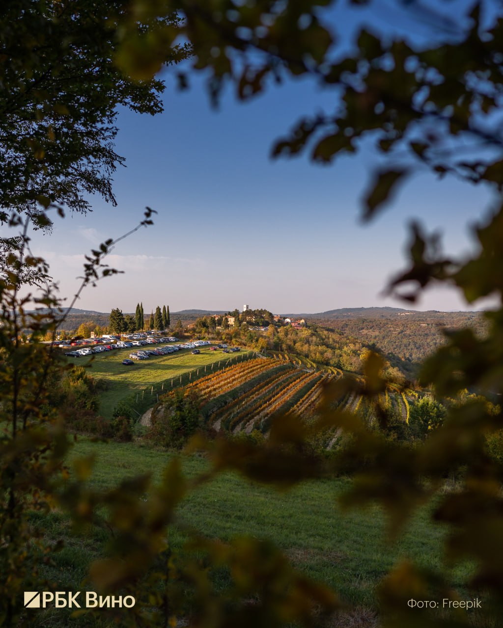 Дума одобрила проект о строительстве гостиниц на виноградниках  В том случае если винодельня находится на земле сельхозназначения и официально принадлежит виноделу или находится у него в аренде то на такой земле можно будет возводить туристическую инфраструктуру В том числе это касается строительства гостиниц Важно что все построенные объекты должны быть объединены в единый комплекс с винодельней  При этом площадь земельного участка должна быть не менее пяти гектаров а площадь объектов туризма не может превышать 0 5 виноградников этажность 15 м или три этажа  Первый заместитель председателя комитета Госдумы по защите конкуренции Игорь Игошин подчеркнул что принятие этого закона позволит комплексно решить сразу несколько задач развитие туризма и повышение его качества в винодельческих регионах развитие инфраструктуры и новые рабочие места рост интереса к отечественным маркам вина а значит и увеличение доходов производителей Подписаться Онлайн сомелье