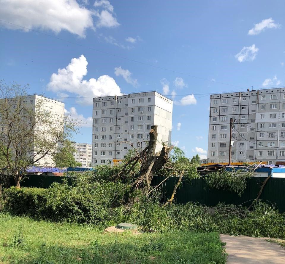 «Они утратили декоративные качества» В администрации Новомосковска прокомментировали ситуацию с вырубкой большого количества деревьев на Трудовом проезде. Напомним, что инцидент произошел несколько дней назад в районе строительной площадки, недалеко от «Олимпа». На уничтожение зеленых насаждений обратили внимание жители близлежащих домов, разославшие в популярные городские паблики некое подобие гневного «открытого письма». Спустя сутки им ответили местные органы власти. Далее цитата: «Деревья расположены в границах ЗУ под строительство, при комиссионном осмотре деревьев установлена утрата декоративных качеств из-за возрастных изменений и стесненных условий произрастания, наличие грибковых заболеваний, суховершинность, отслоение коры, также выявлено разрушение тротуарной дорожки из-за близкого произрастания деревьев с мощной корневой системы. Для проведения дальнейшего благоустройства и исключения разрушения пешеходной инфраструктуры принято решение об удалении данных деревьев. Для проведения указанных работ компании застройщика выдано разрешение на право вырубки. По информации застройщика, при окончательном благоустройстве территории застройки планируется проведение масштабных работ по озеленению. Уборка порубочных остатков произведена». Получив подобный ответ, городские власти моментально получили встречный вопрос: «А разве в городе больше нет других сухих деревьев с грибком и отслоенной корой, чтобы обязательно начинать пилить именно с этих?» Ответа на этот вопрос, ожидаемо не последовало. Источник