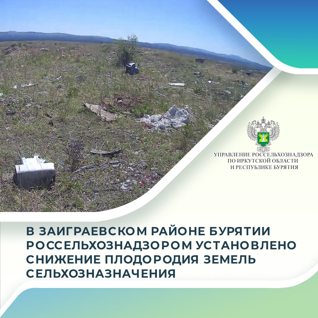 18 июня 2025 года Управлением Россельхознадзора по Иркутской области и Республике Бурятия проведены выездные обследование земельных участков сельскохозяйственного назначения. Участки принадлежат физическим лицам, расположены в границах села Нарын-Ацагат Заиграевского района и не предназначены для целей складирования твердых, бытовых, строительных и промышленных отходов.  В ходе осмотра сельхозземель выявлена несанкционированная свалка площадью 6,4 га и зарастание сорной травянистой растительностью на площади 15 га. Госинспектором осуществлён отбор проб почвы для определения химико-токсикологических и агрохимических показателей. Образцы почвы направлены для проведения испытаний в Иркутский филиал ФГБУ «ВНИИЗЖ».  14 июля 2025 года в надзорное ведомство поступили протоколы испытаний, согласно которым превышение химико-токсикологических показателей не выявлено, кроме валового содержания серы. Согласно протоколам испытаний, установлено снижение плодородия земель сельхозназначения в результате перекрытия отходами от производства плодородного слоя. По сравнению с фоном в почве произошло снижение:  — рН солевой вытяжки, ед. рН на 6,8 %;  – массовой доли обменного калия на 33,7%;  – массовой доли органического вещества на 77,13 %;  – подвижного фосфора на 86,83 %.  Законодательством запрещается сброс отходов производства и потребления на почву. Свалки ТБО оказывают негативное влияние на все природные компоненты и наносят невосполнимый ущерб окружающей среде. Они перекрывают и загрязняют земельный участок, выводя из сельхозоборота плодородные почвы.  Управлением Россельхознадзора собственникам наделов выданы предписания об устранении выявленных нарушений требований земельного законодательства.  Подробнее