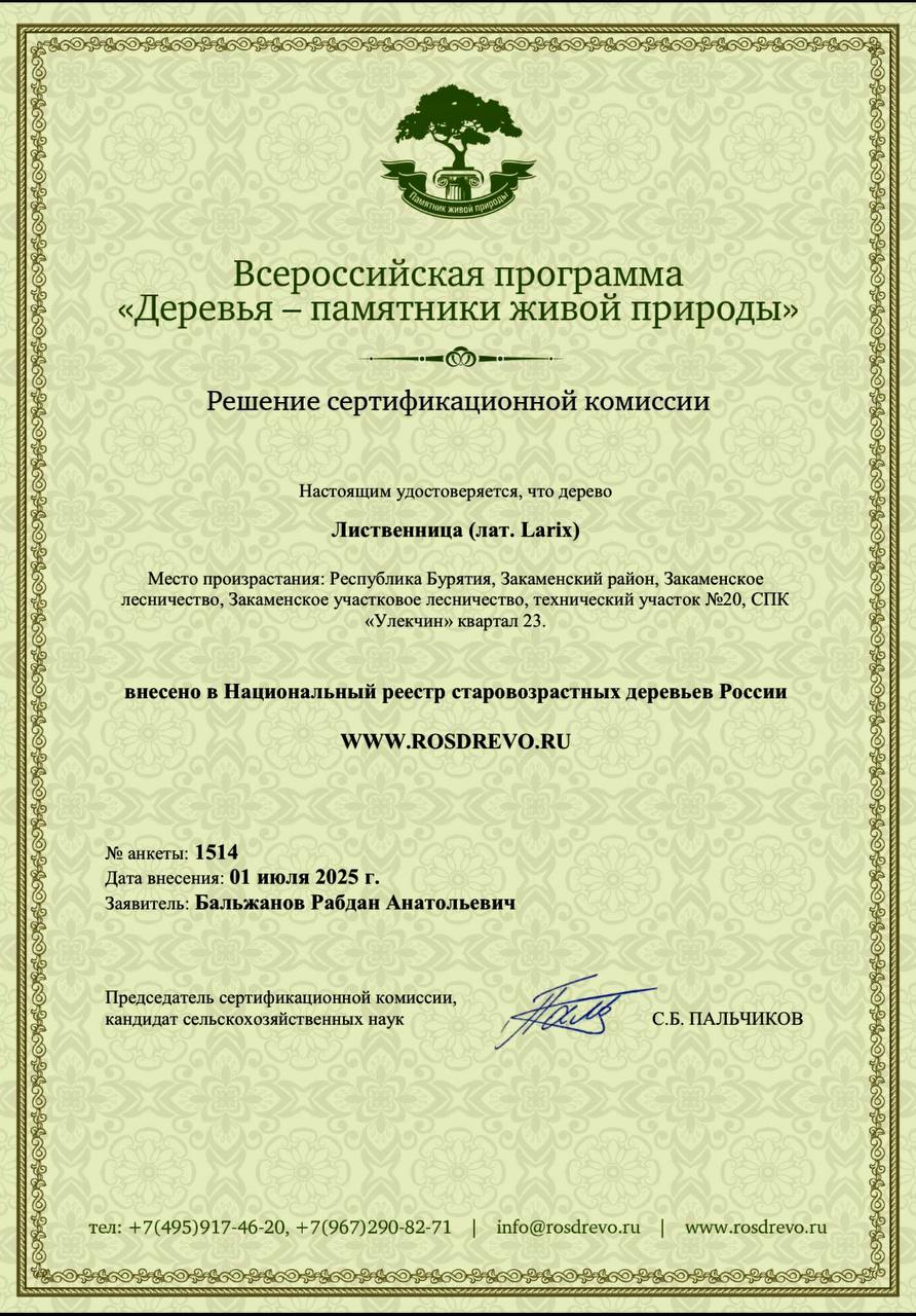 В республиканском агентстве лесного хозяйства рассказали об уникальном дереве, растущем в Закаменском районе. Это лиственница, которой около 200 лет.   Её внесли в национальный реестр старовозрастных деревьев России.  - Мы не ожидали, что наша лиственница получит всероссийское признание – просто отправили данные, – отметил главный лесничий Закаменского лесничества Рабдан Бальжанов. – Тайга Бурятии разнообразна, но всё же в лесах преобладают хвойные породы. Отрадно, что отметили нашу долгожительницу